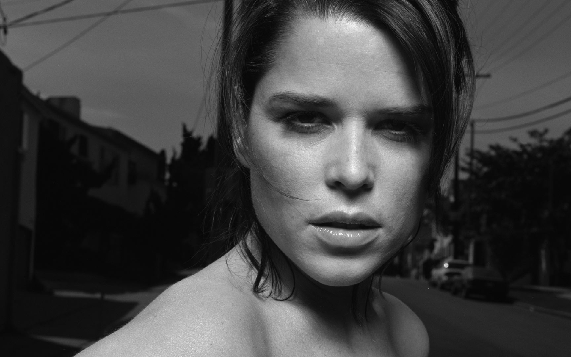 Neve Campbell, Wallpapers high resolution, 1920x1200 HD Desktop