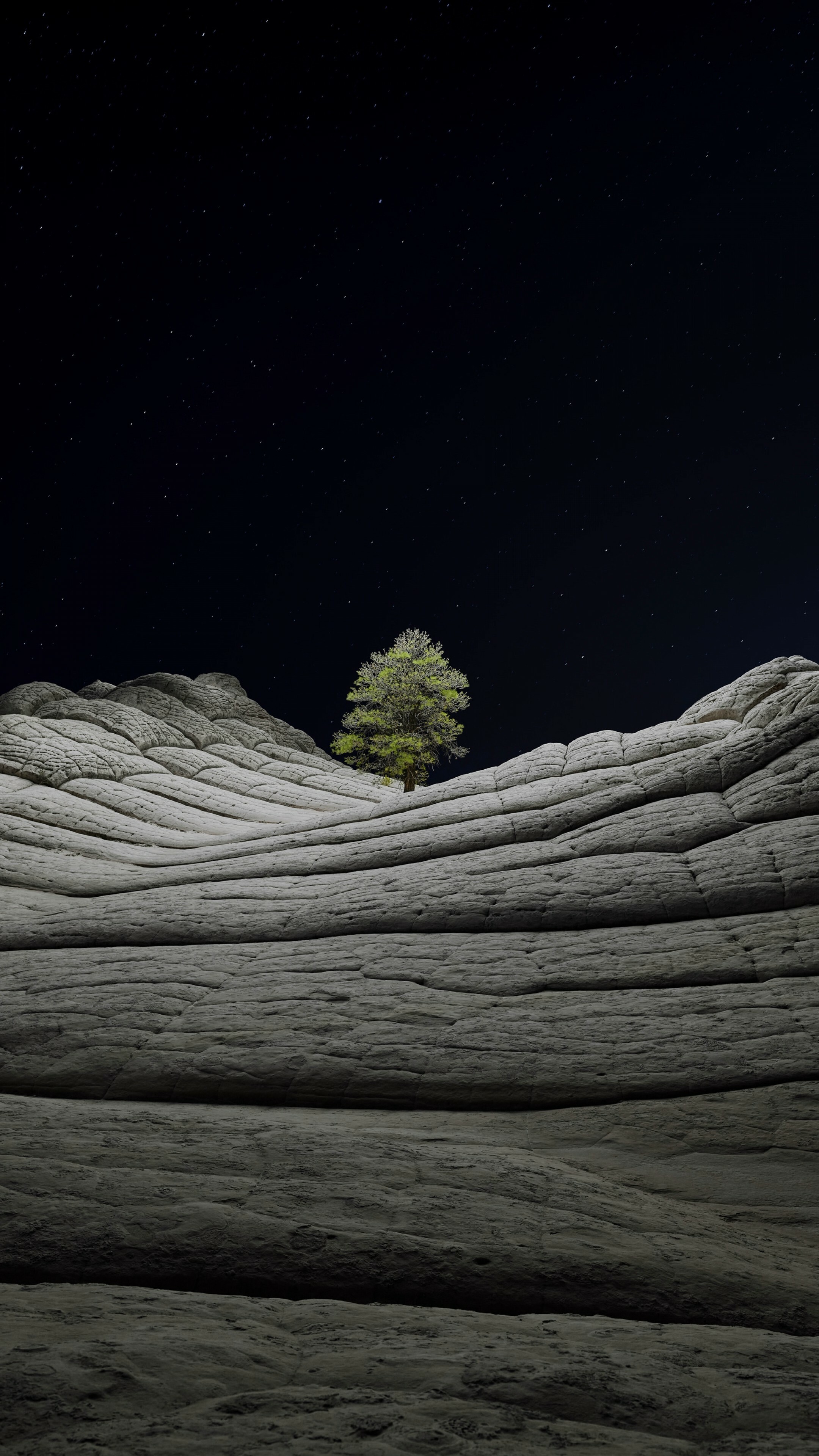 Desert night scenery, Illuminated tree silhouette, Mesmerizing starry sky, Fascinating contrast, 2160x3840 4K Phone