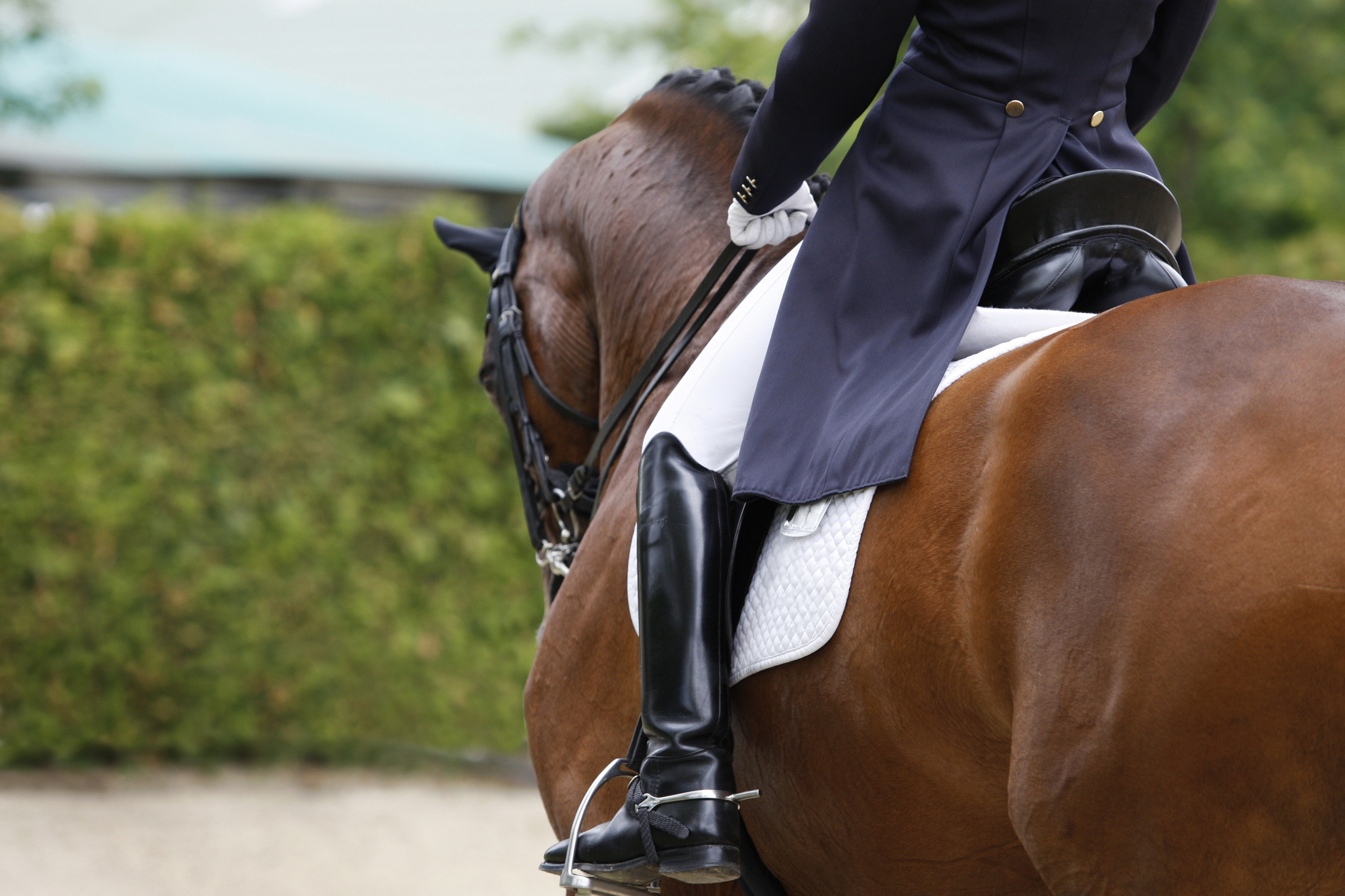 Kyra Kyrklund, Dressage Wallpaper, 2130x1420 HD Desktop