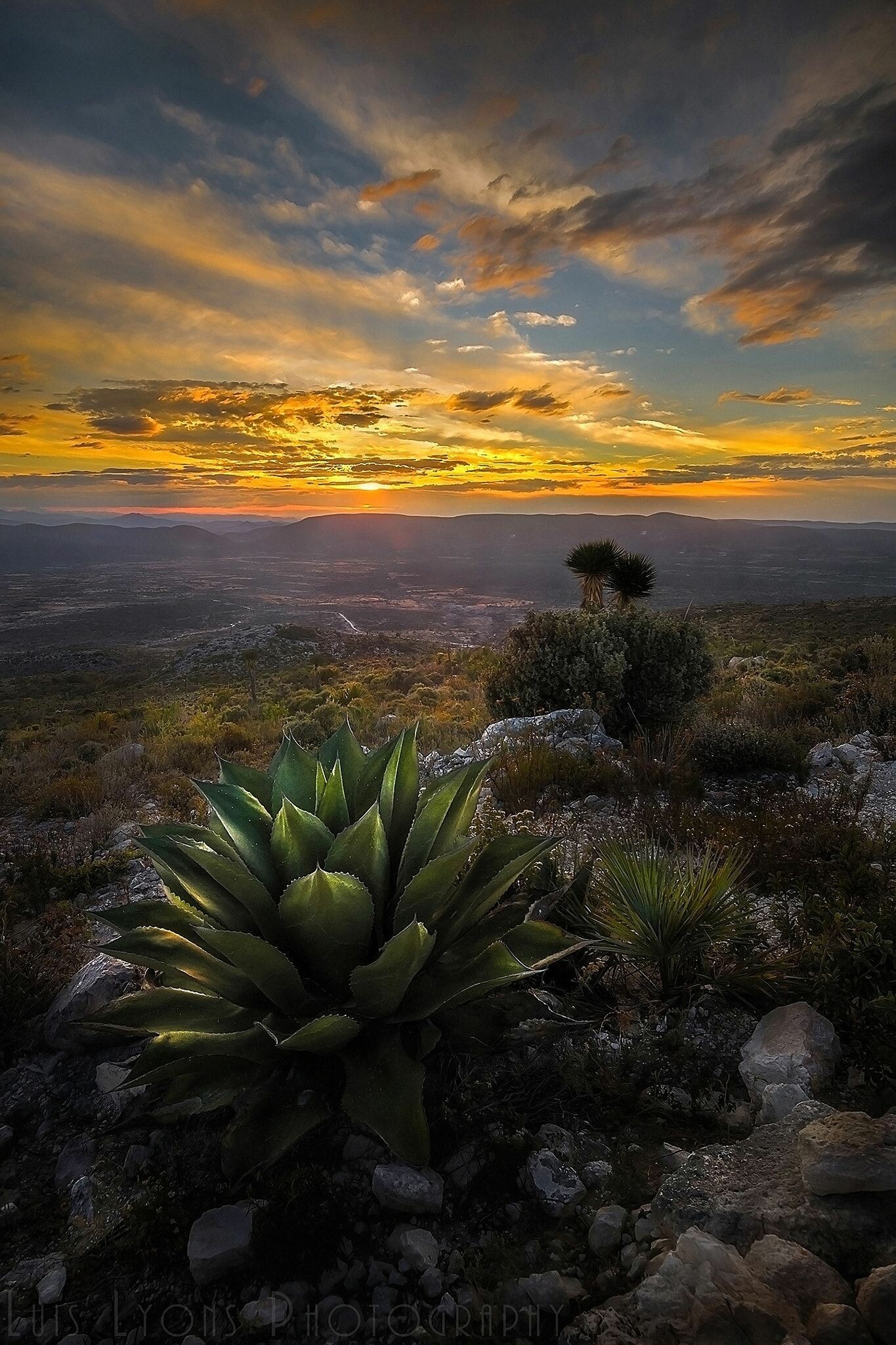 Mexico landscape, Stunning vistas, Tranquil settings, Captivating beauty, 1370x2050 HD Phone