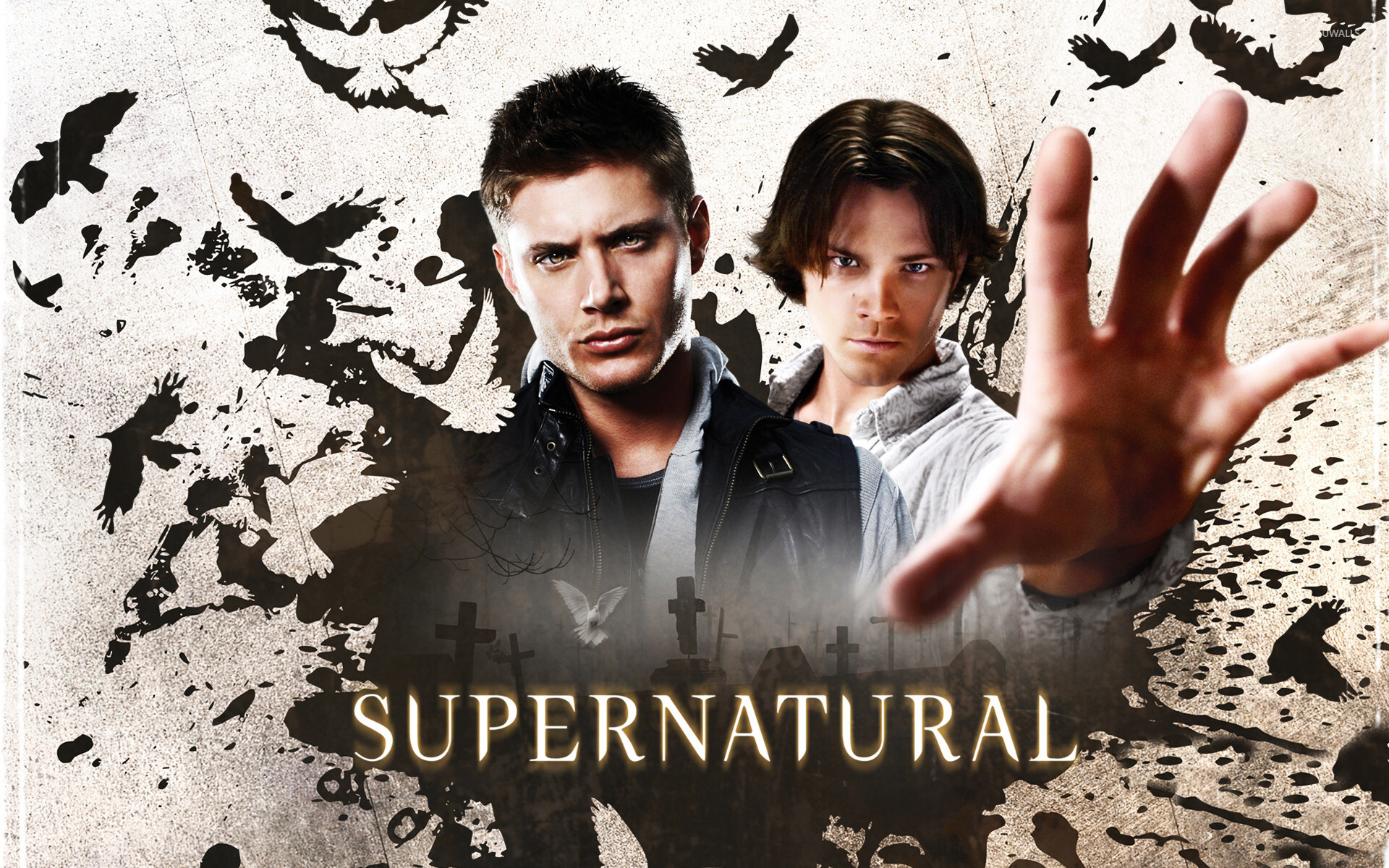 Season 8, Supernatural Wallpaper, 1920x1200 HD Desktop