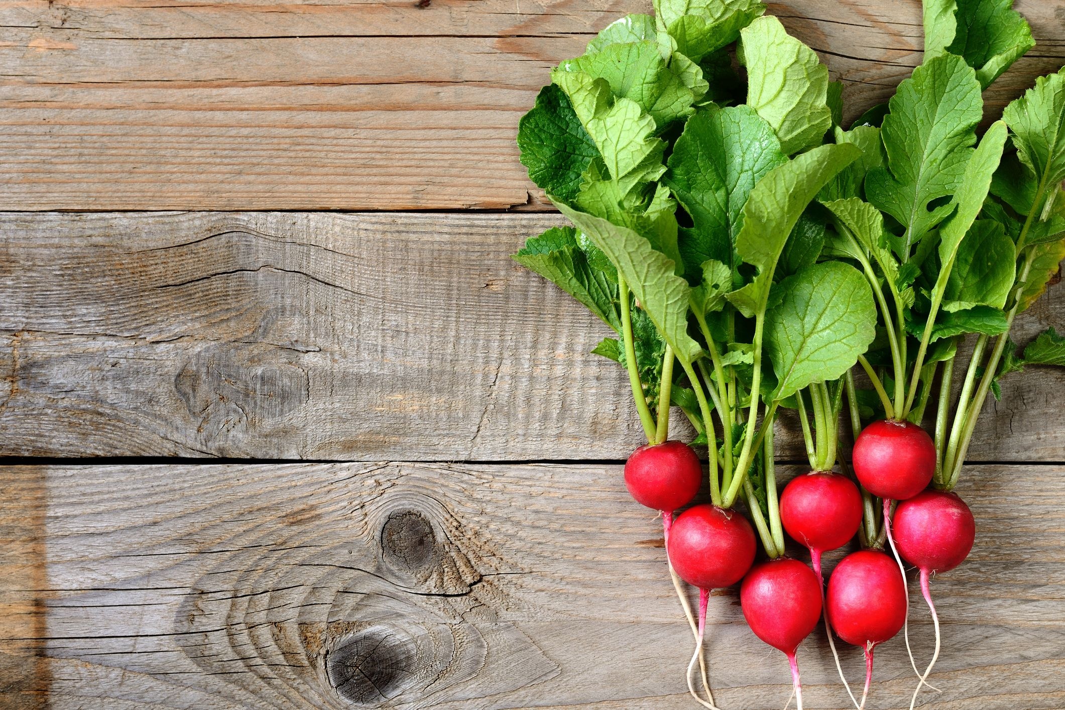 Radishes good guide, Food, 2130x1420 HD Desktop