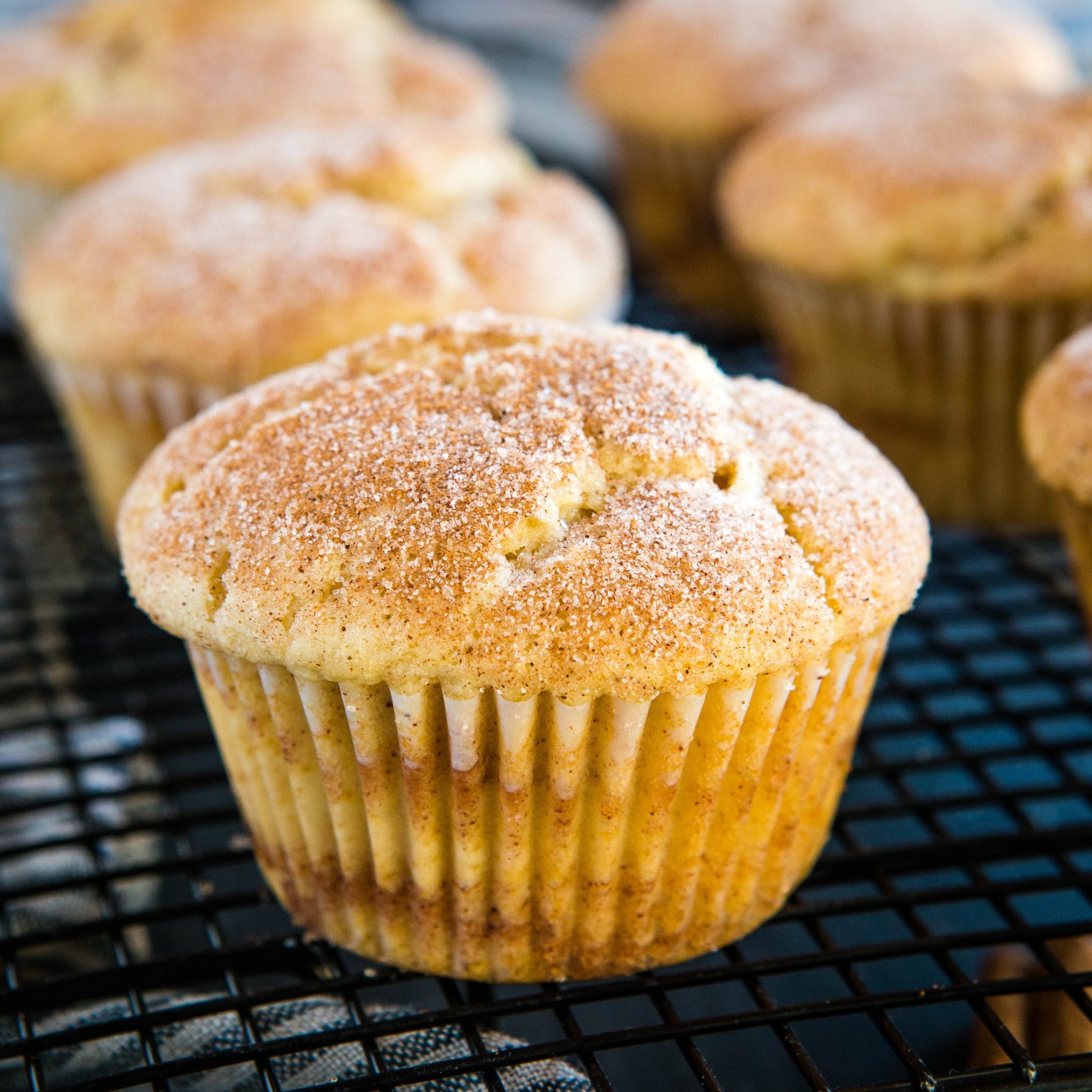 Cinnamon sugar muffins, Easy muffin recipe, Busy baker, Muffin, 2050x2050 HD Phone