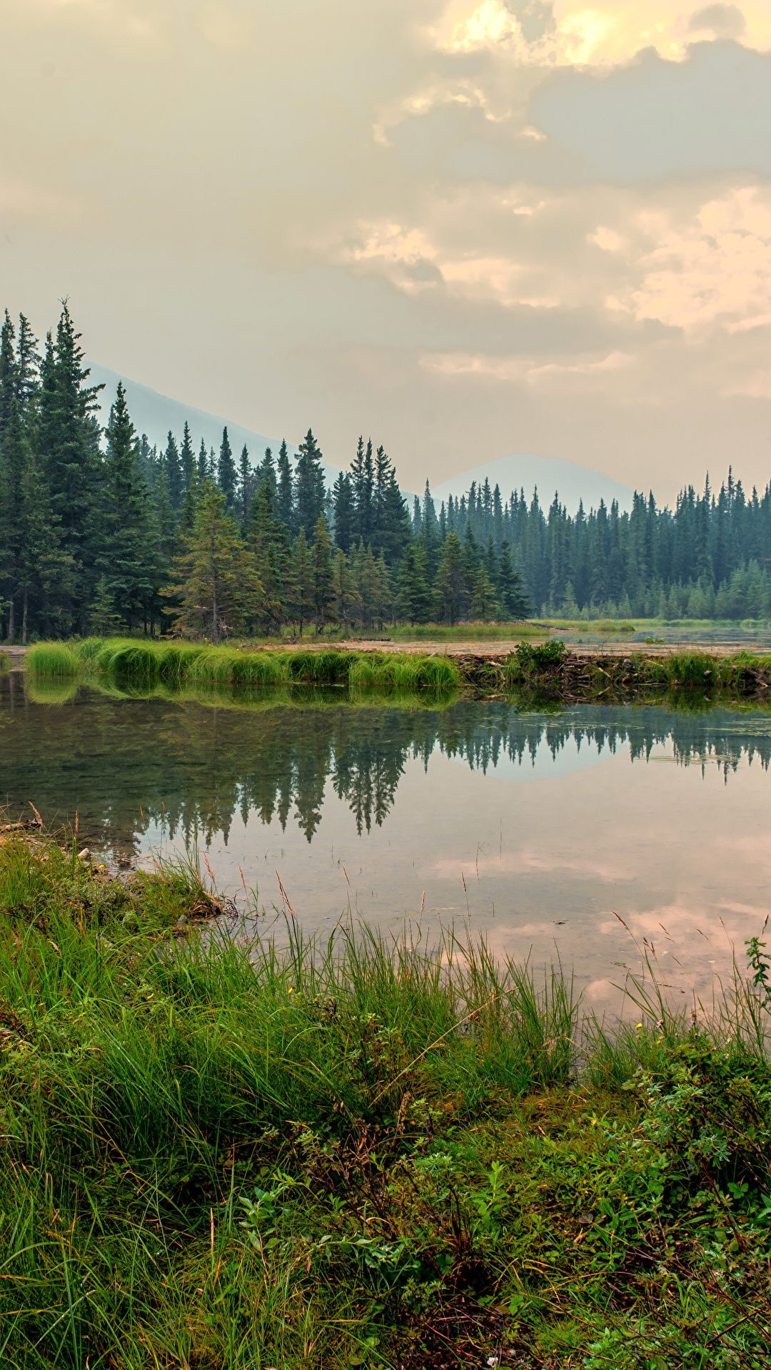 Denali National Park and Preserve, Alaska, Nature, Mountains, 1080x1920 Full HD Phone