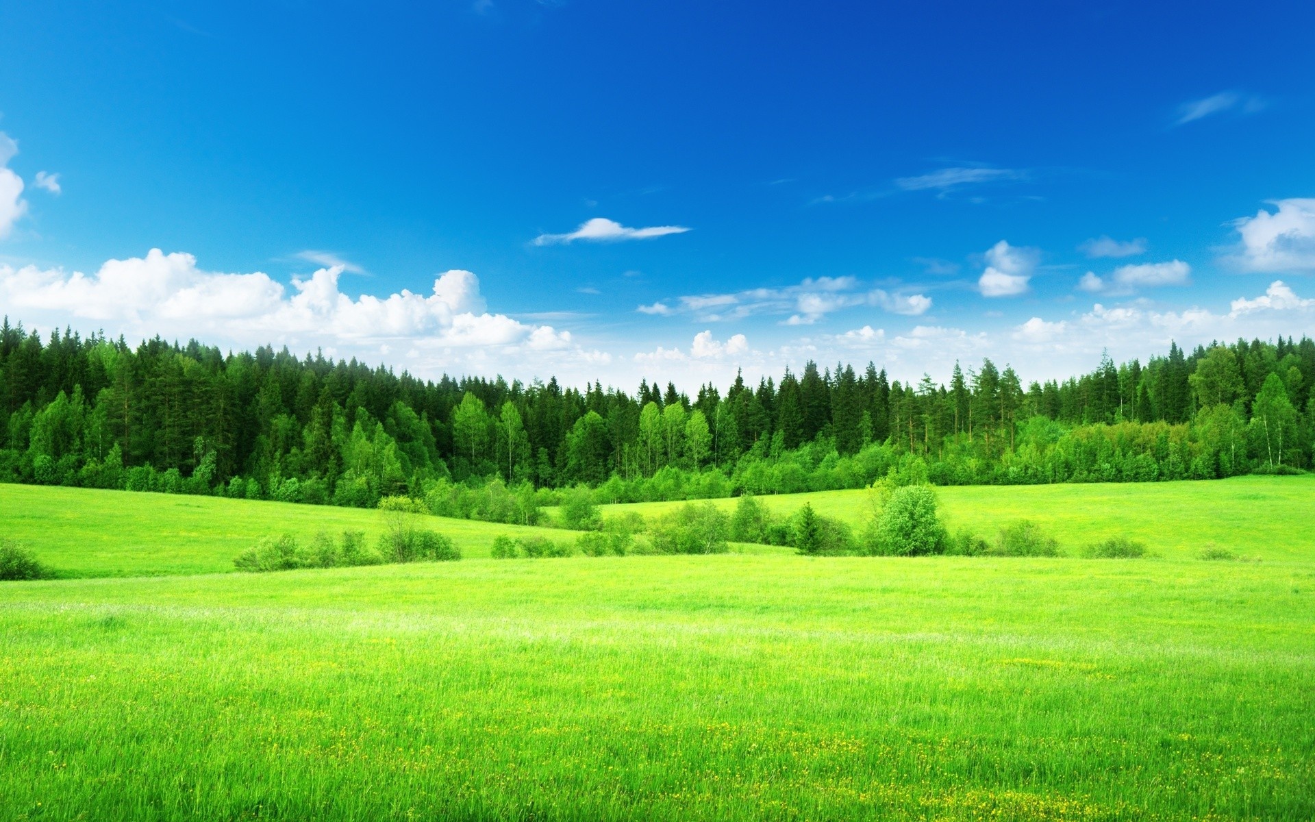 Nature landscape, Green grass and clouds, Tranquil ambiance, Stunning backdrop, 1920x1200 HD Desktop