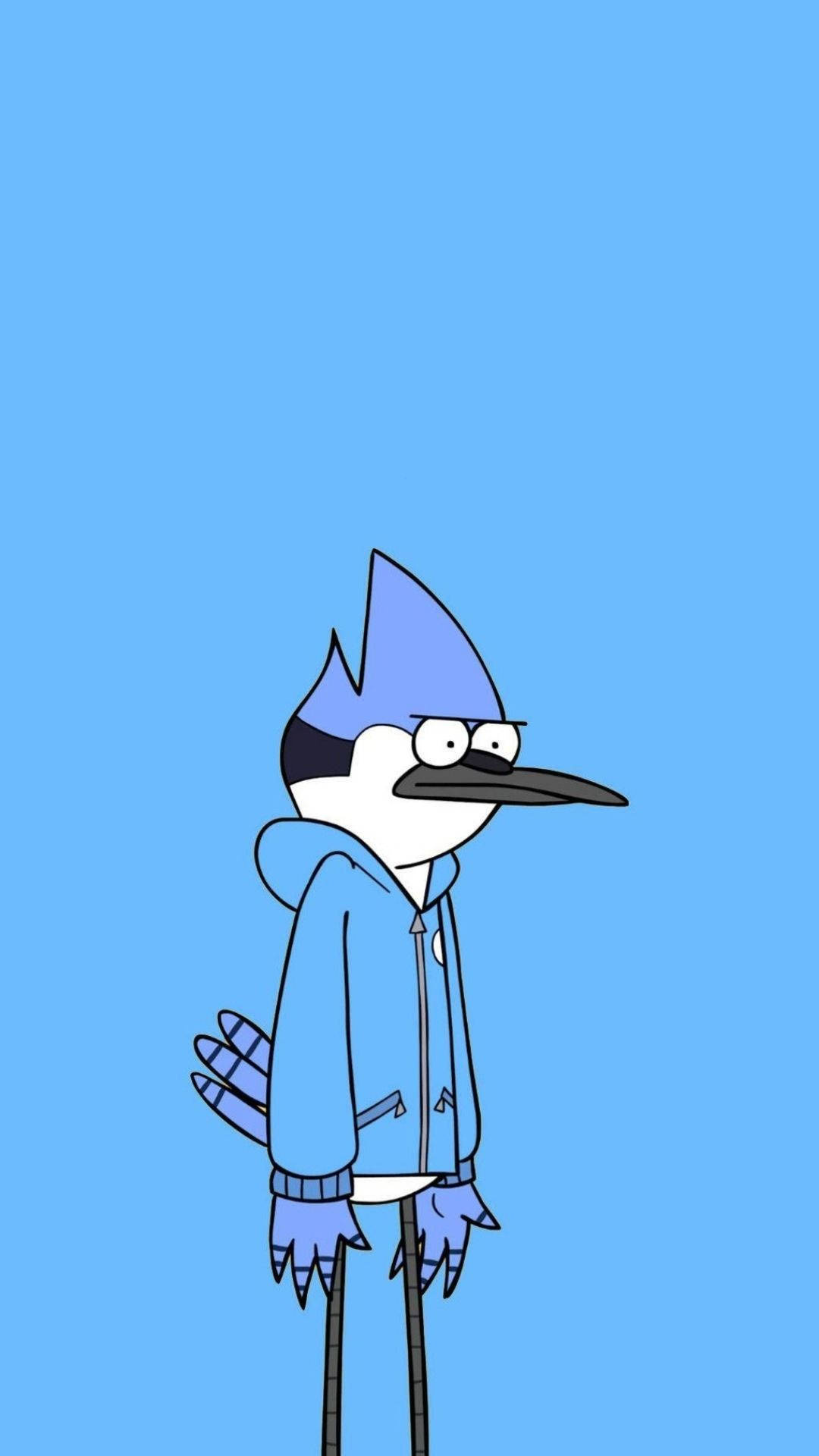Mordecai in blue hoodie, Flat blue background, Regular Show, Full HD Phone wallpaper