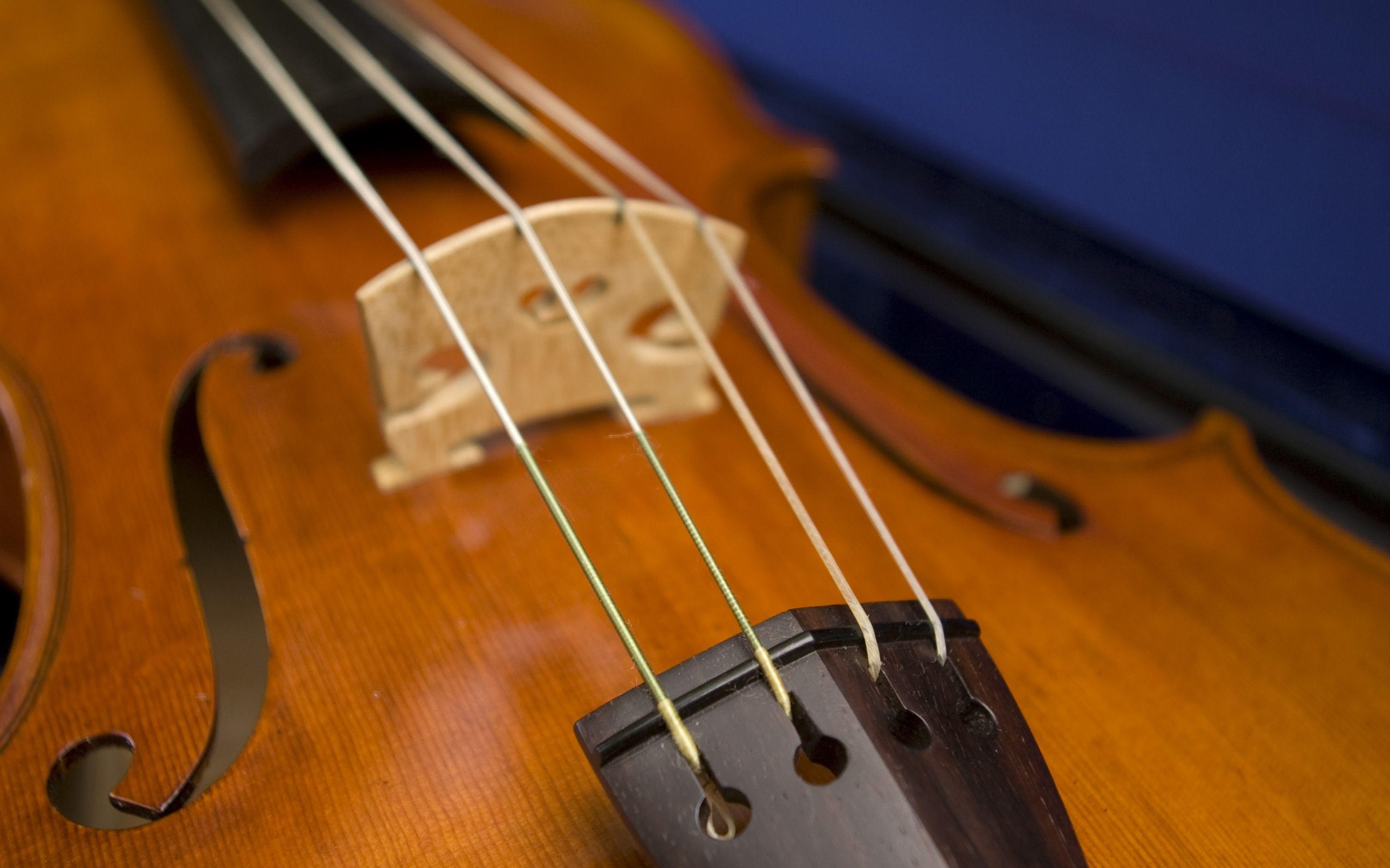 Viola music, Viola wallpapers, Soulful melodies, Captivating strings, 3010x1880 HD Desktop