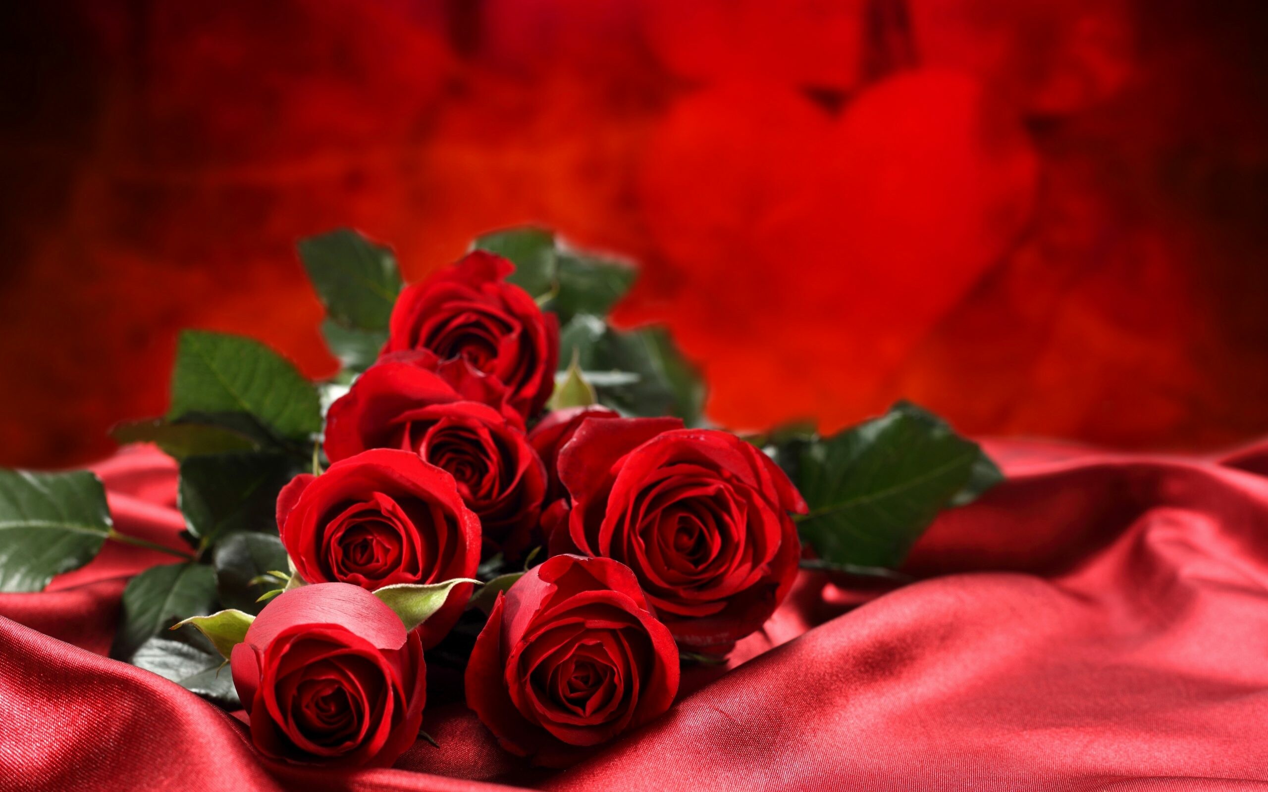 Roses, Flower Bouquet Wallpaper, 2560x1600 HD Desktop