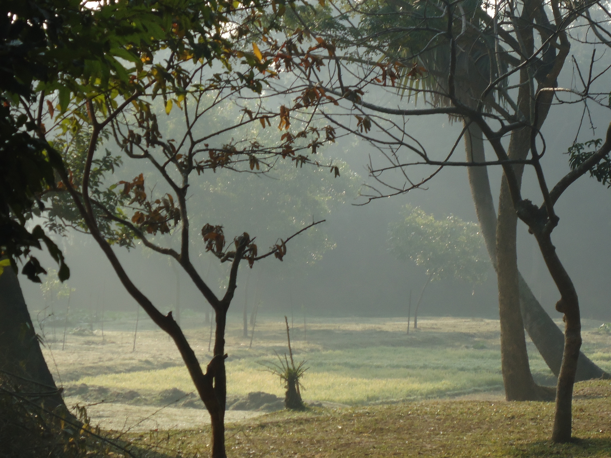 Winter morning, Bangladesh wallpaper, Stunning landscapes, Cold weather, 2560x1920 HD Desktop