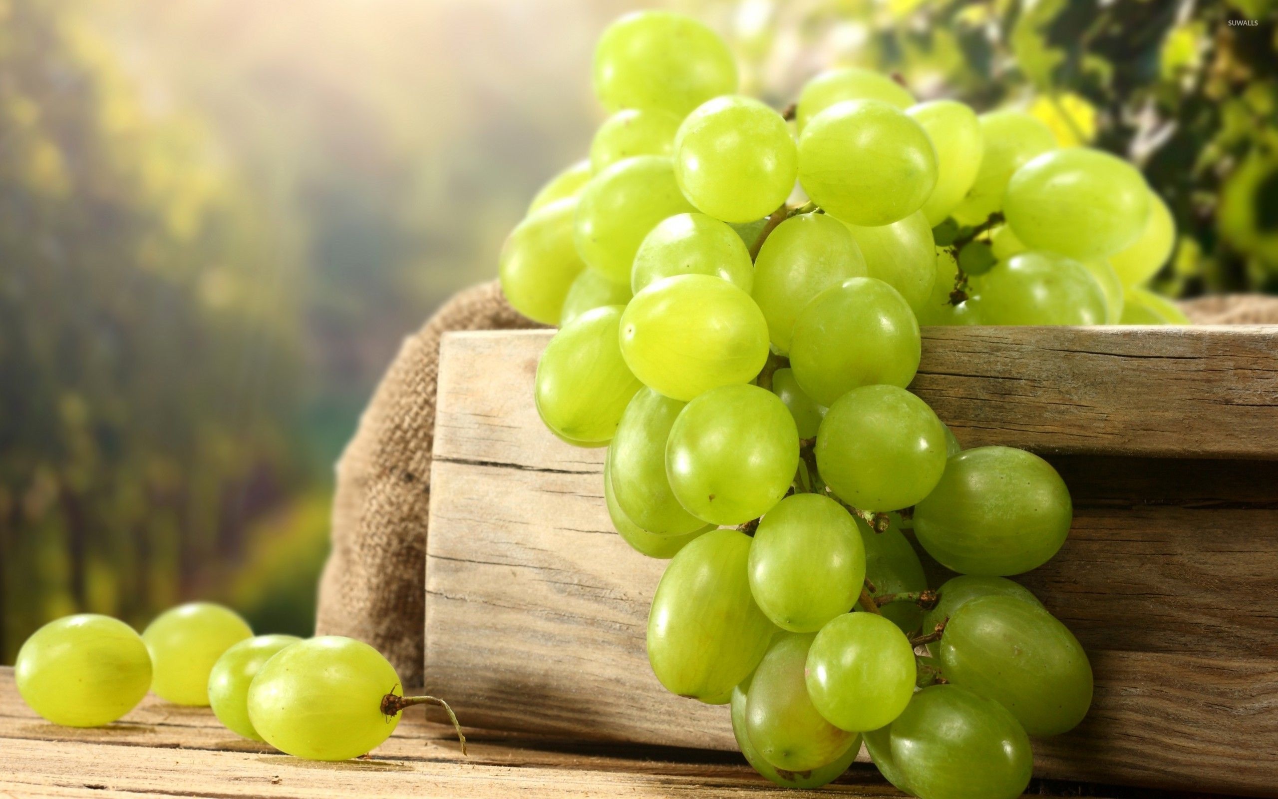 Green grapes, Refreshing treats, Captivating image, Earthy tones, 2560x1600 HD Desktop