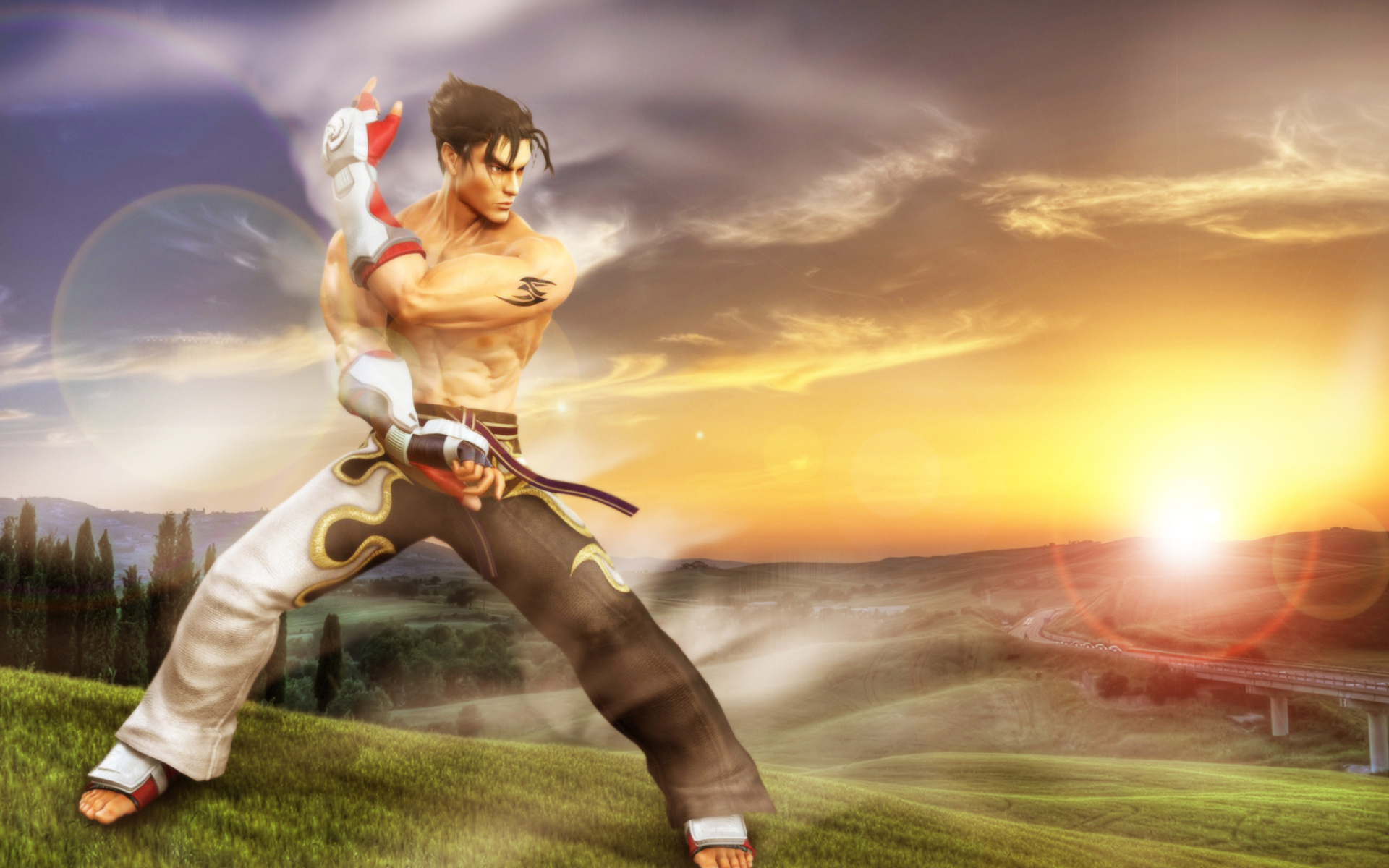 Tekken wallpaper, Jin Kazama, Minitokyo, Fighter design, 1920x1200 HD Desktop