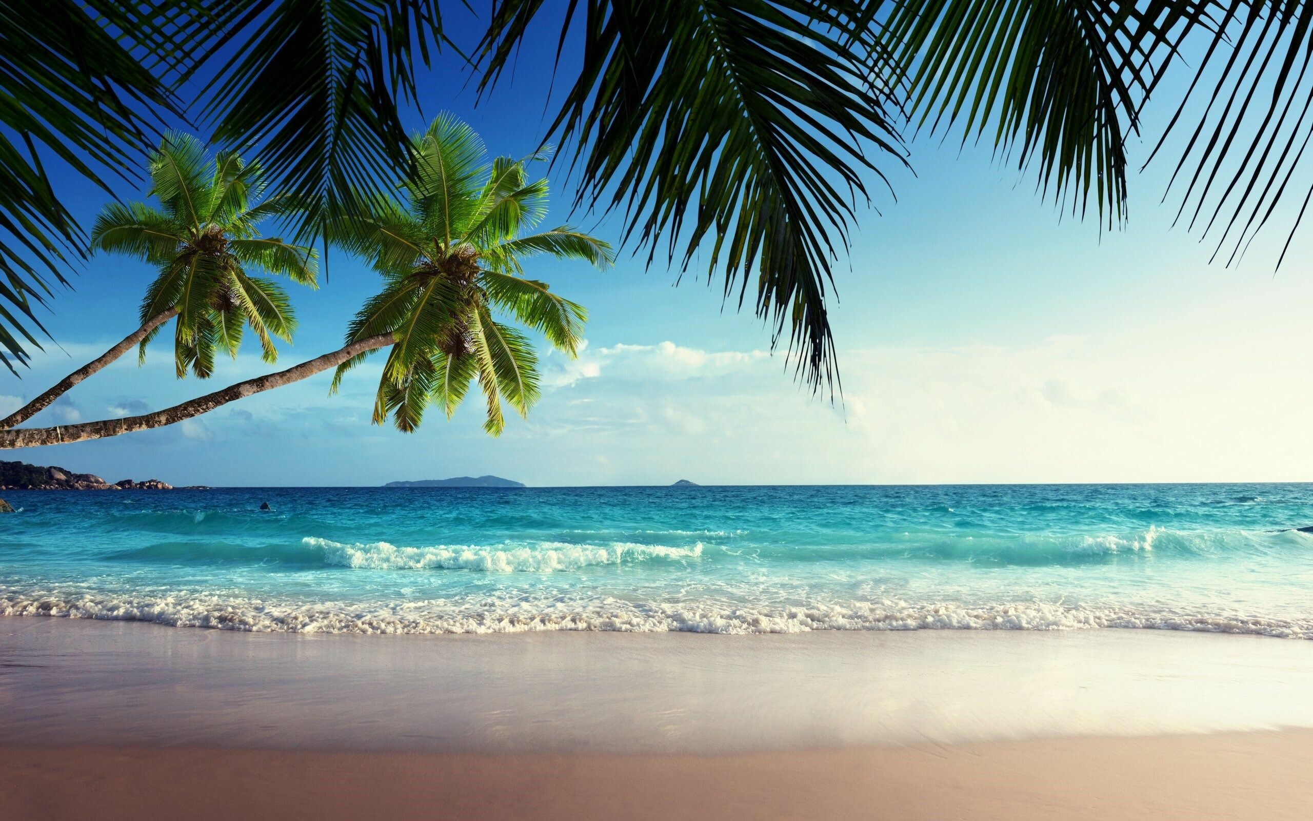 Sunshine-drenched sands, Playful beach scenes, Relaxing coastal vibes, Tropical bliss, 2560x1600 HD Desktop