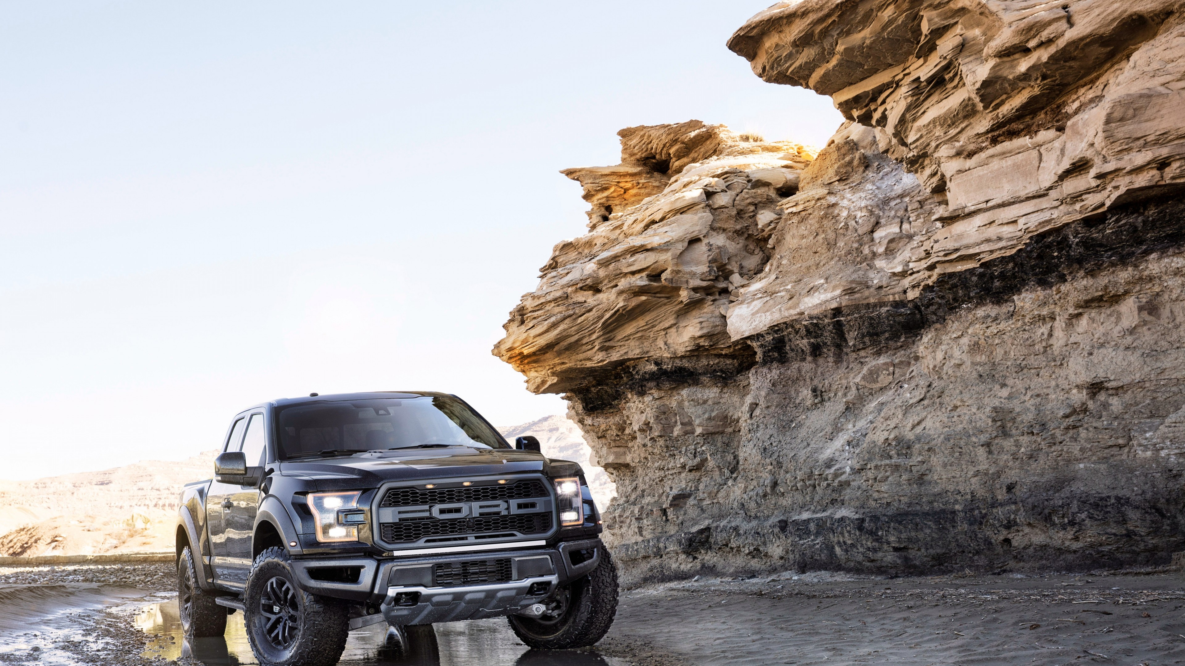 Ford F-150 Raptor, NAIAS 2017, Power and performance, Pickup truck prowess, 3840x2160 4K Desktop