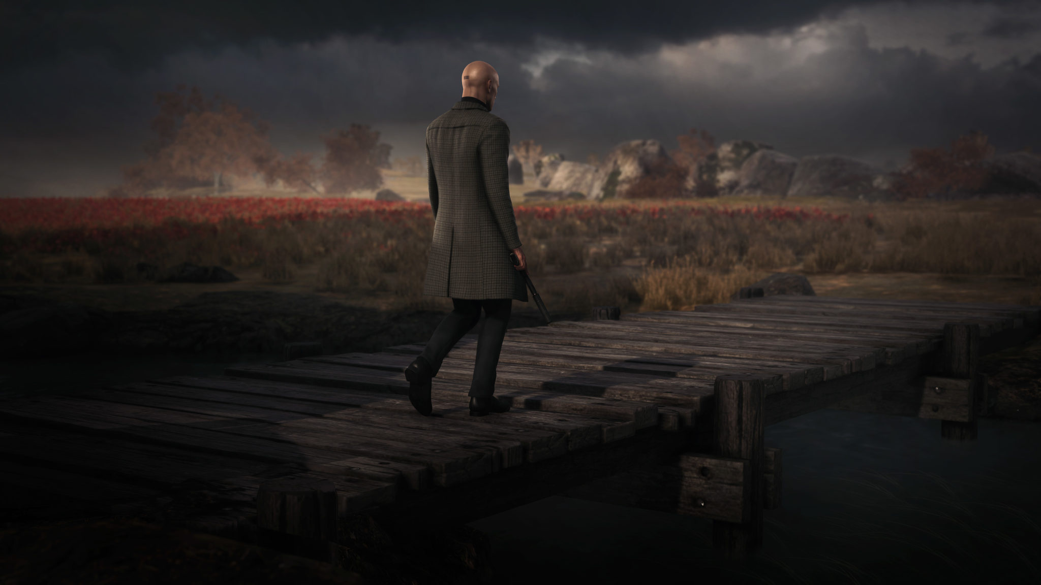 Agent 47, Dartmoor moorland, Wooden footbridge, HD Desktop wallpaper