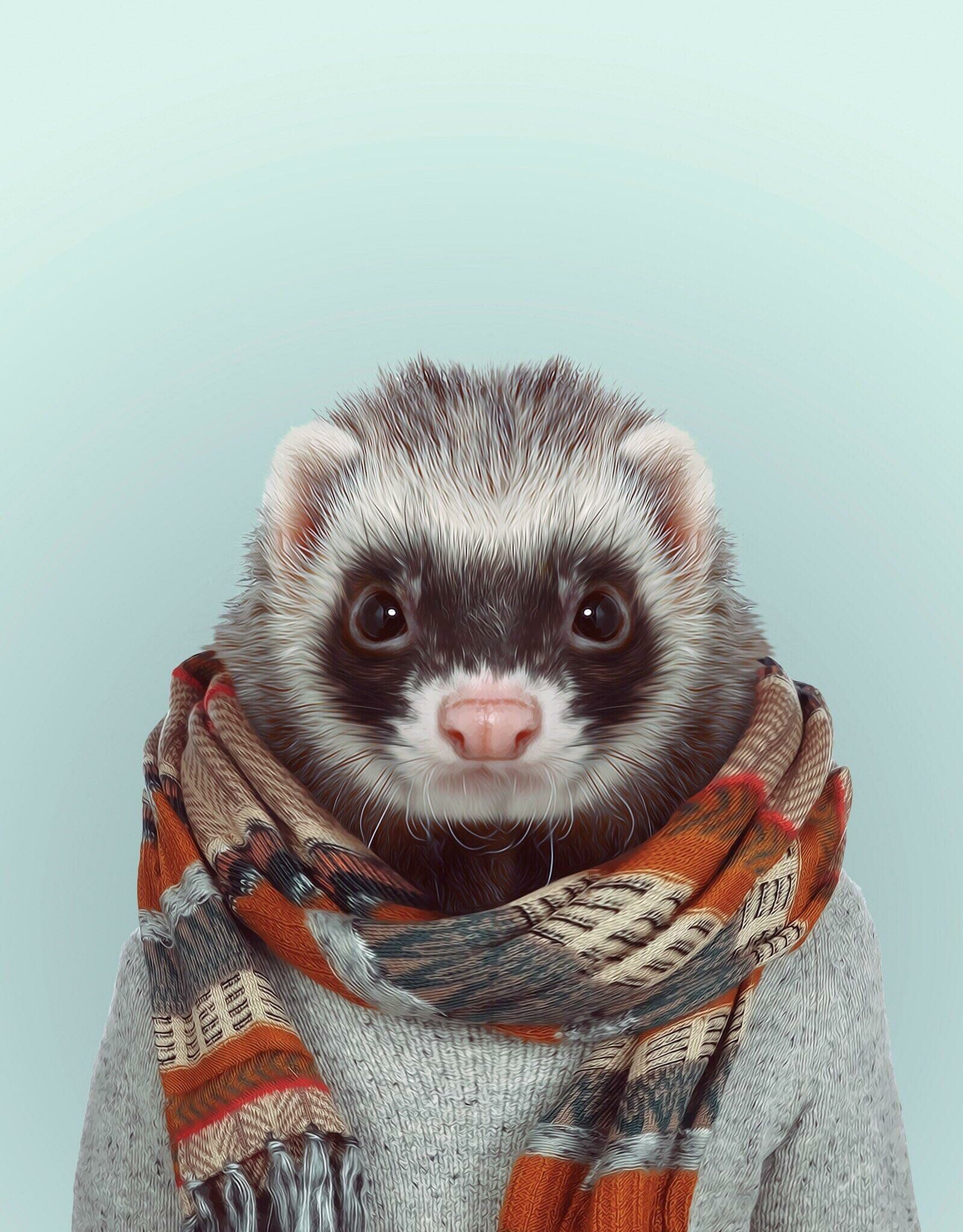 Wearing a scarf, Ferrets Wallpaper, 1600x2050 HD Phone