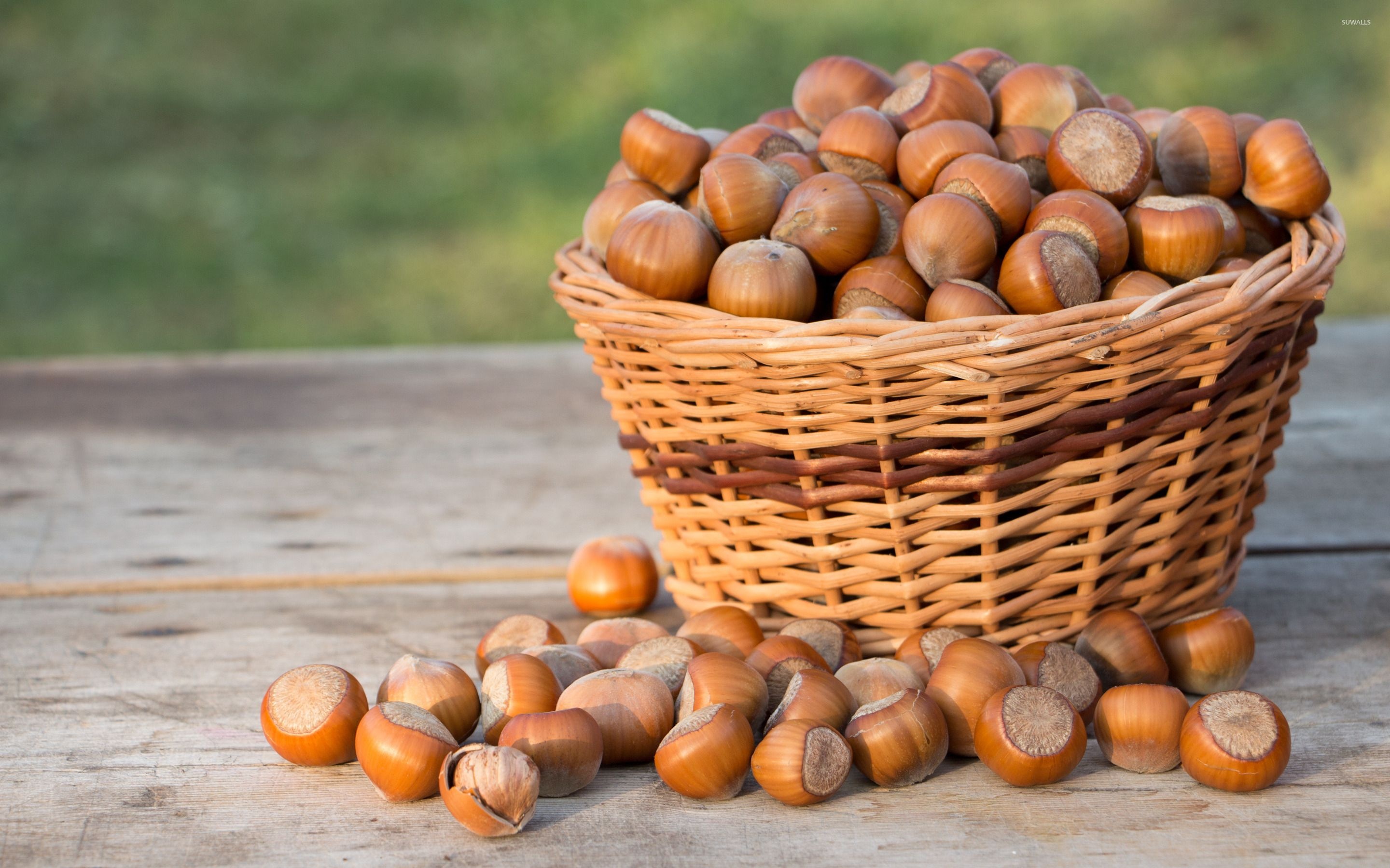 Hazelnuts, Wallpaper delight, Nutty admiration, Picture perfect, 2880x1800 HD Desktop