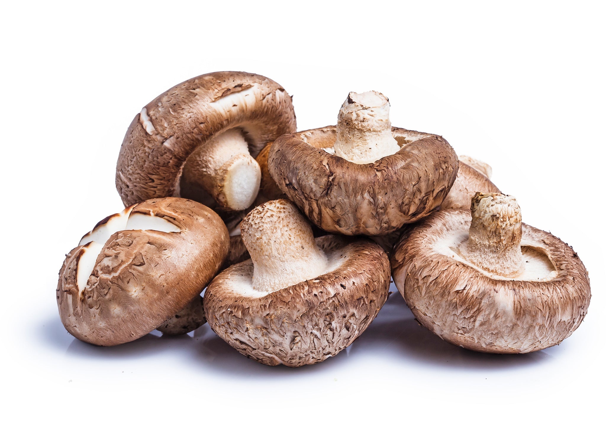 Shitake mushroom, Edens hk, Shitake, Mushroom, 2050x1500 HD Desktop