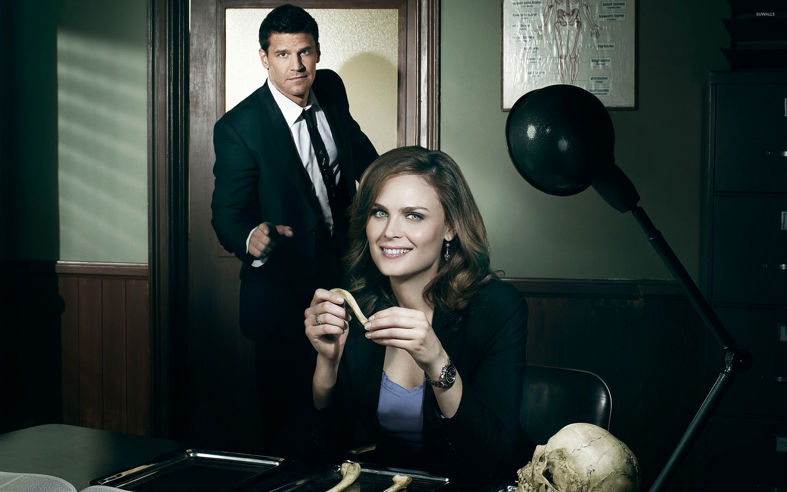 Bones, Season 8 wallpaper, TV show artwork, 2560x1600 HD Desktop