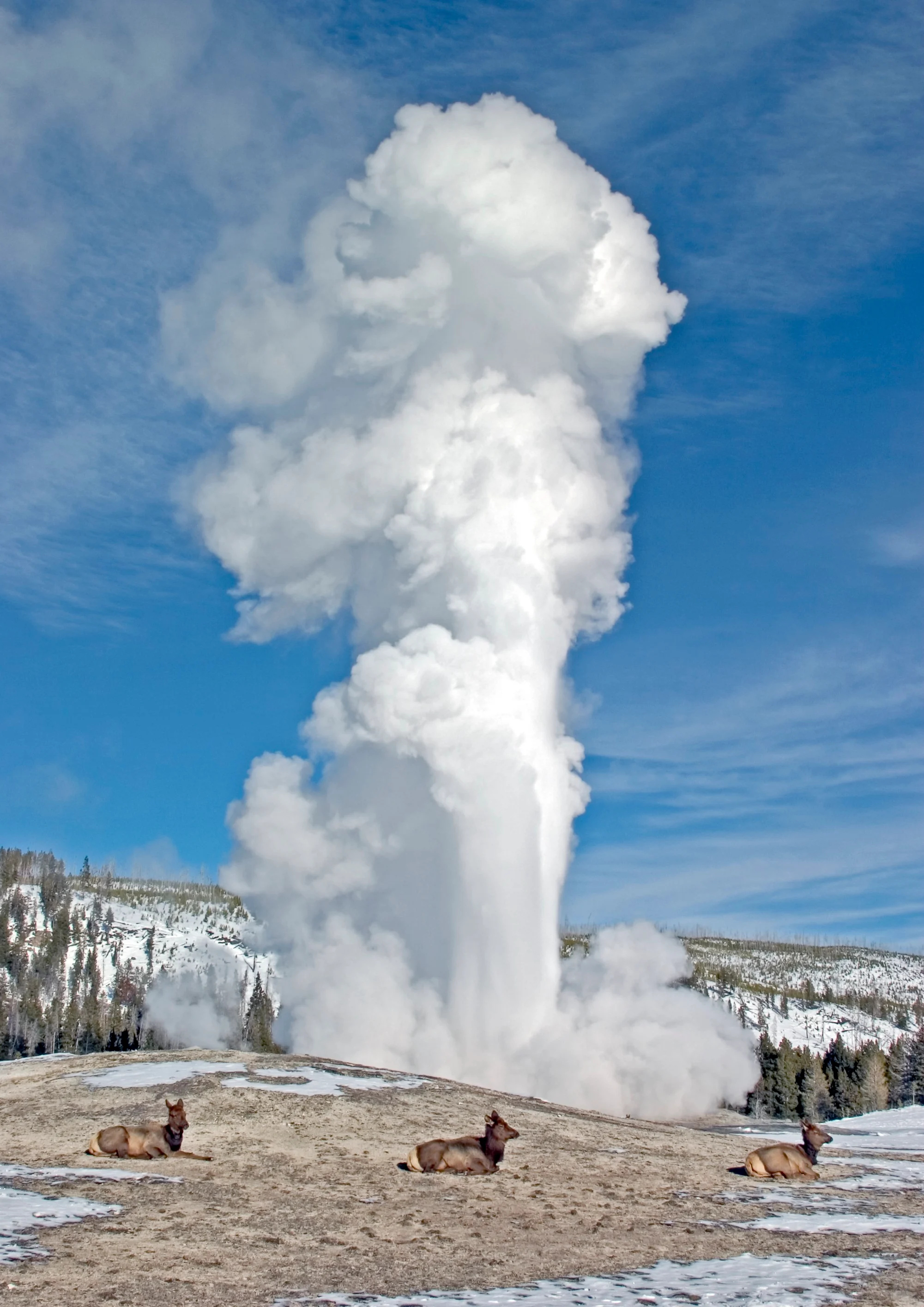 Yellowstone National Park, Cody Yellowstone, 2010x2840 HD Phone