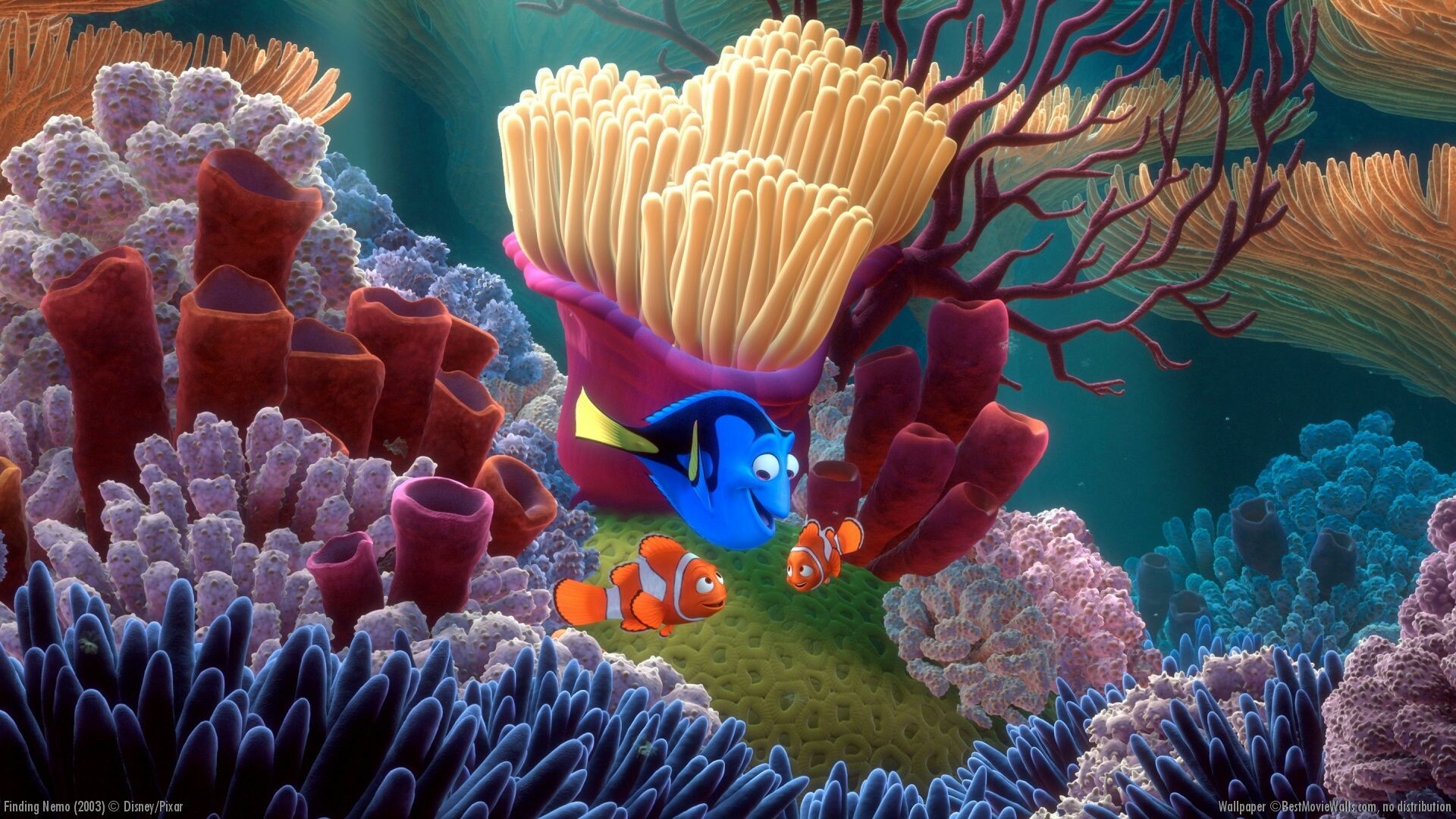 Finding Nemo, Characters, Movie, Disney, 1920x1080 Full HD Desktop