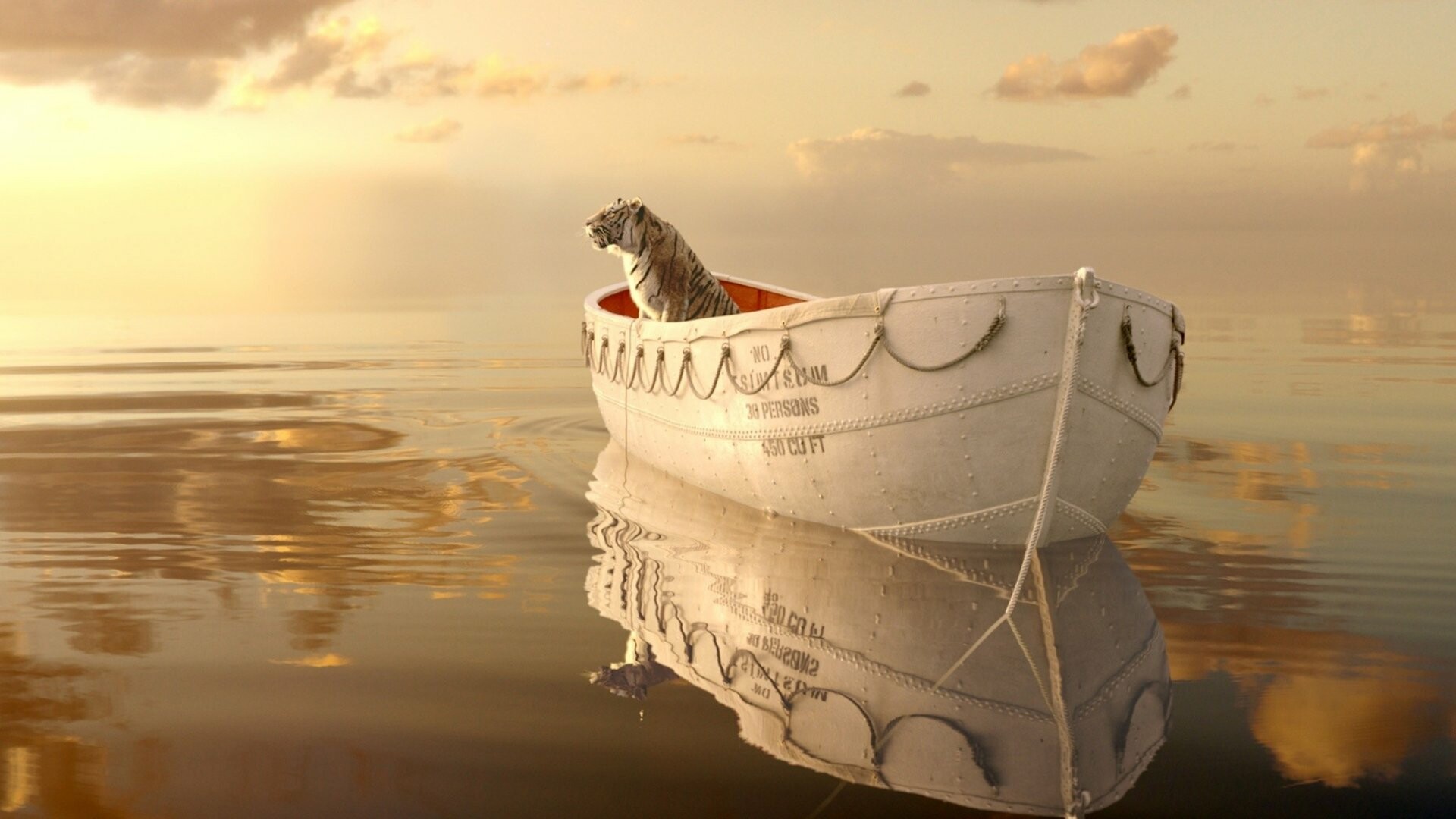 Life of Pi, Schiffbruch mit Tiger, HD wallpapers, Hintergratilde, 1920x1080 Full HD Desktop