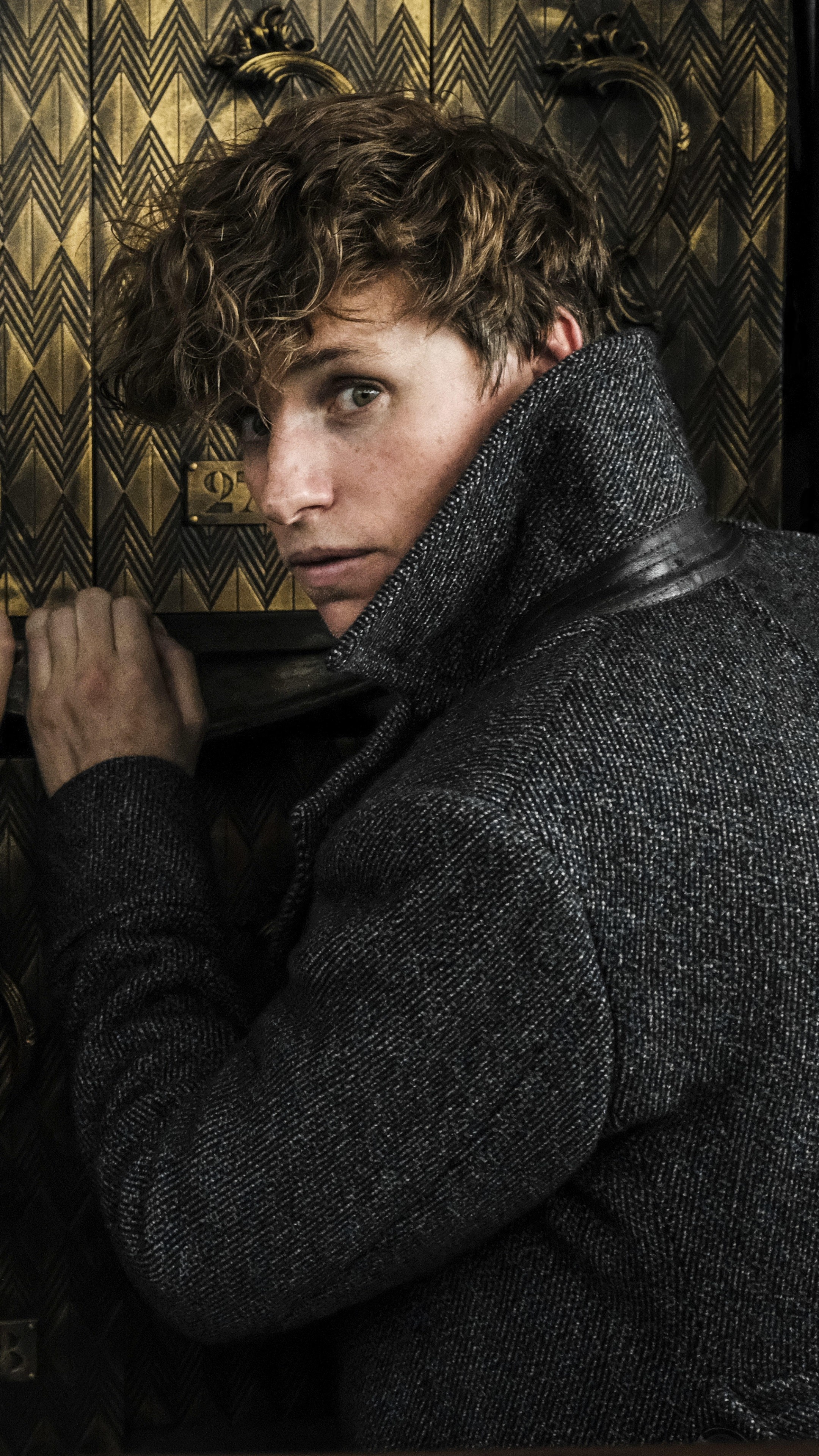 Fantastic Beasts movies, Eddie Redmayne, Magical wallpaper, Fascinating storyline, 2160x3840 4K Phone