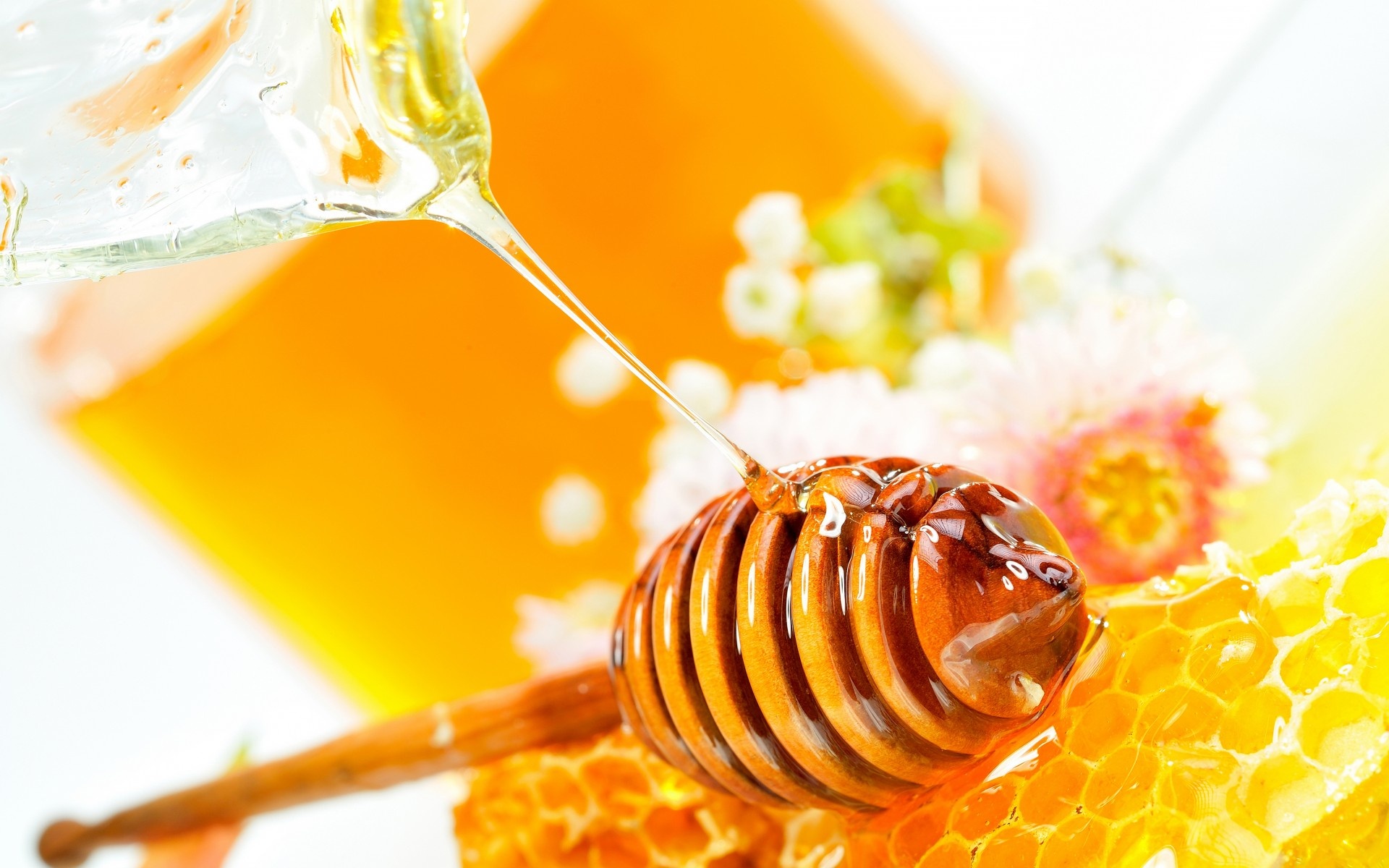 Delicious honey, HD wallpapers, Sweet and golden, Eye-catching background, 1920x1200 HD Desktop