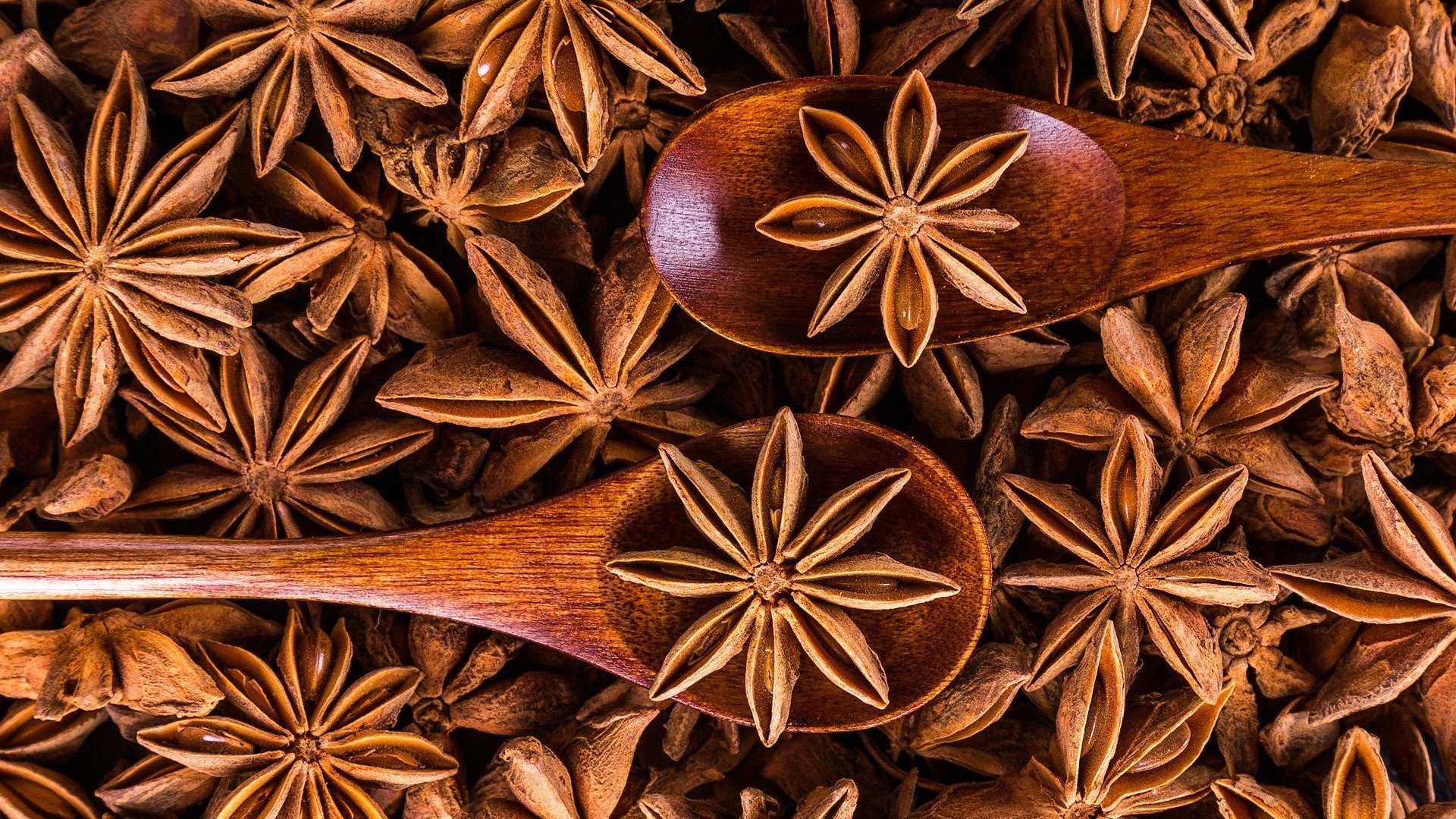Anise vs. star anise, Flavor comparison, Distinct spices, Culinary use, 1920x1080 Full HD Desktop