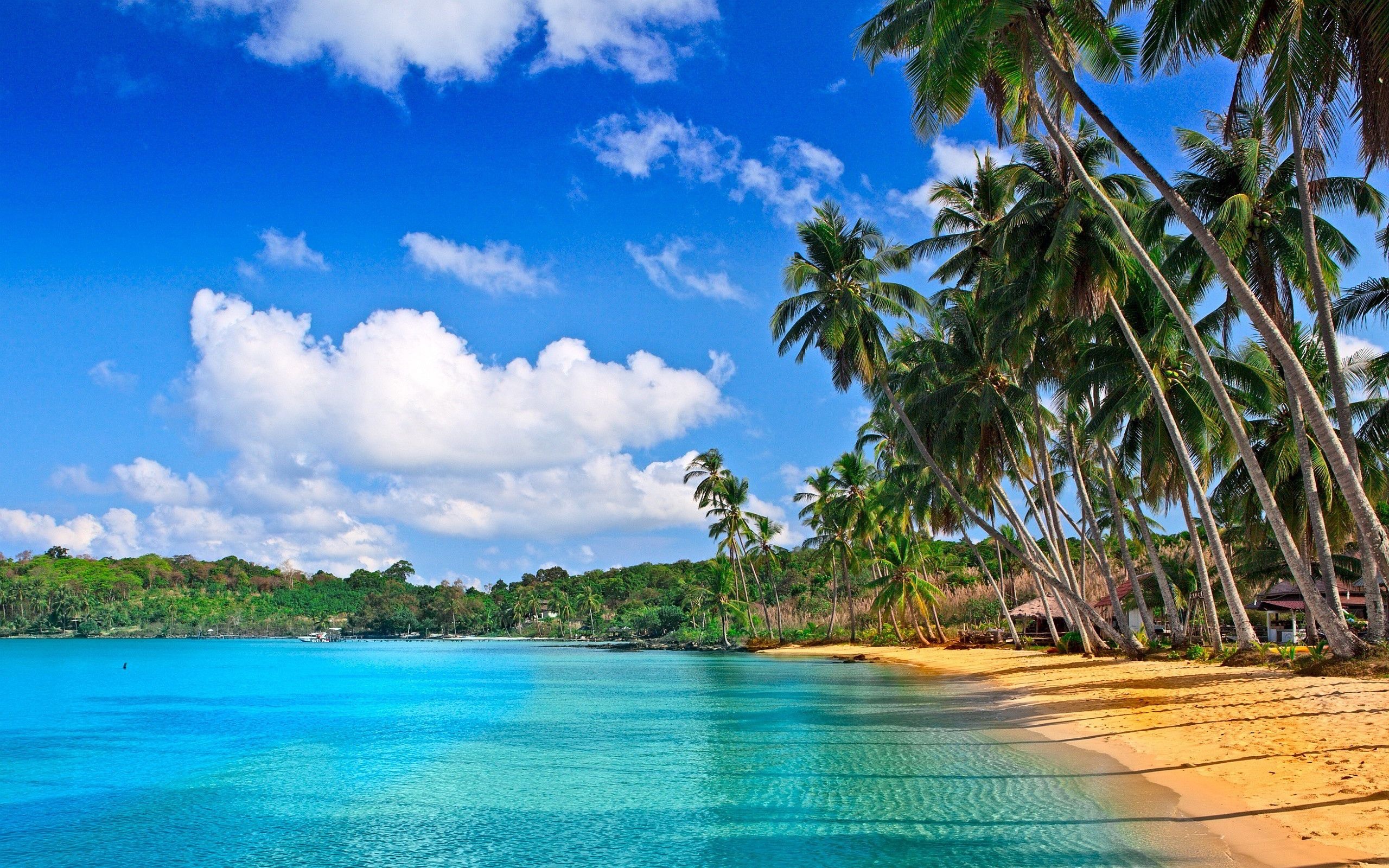 Caribbean Islands, Caribbean beach view, Beach wallpapers, Tropical getaway, 2560x1600 HD Desktop