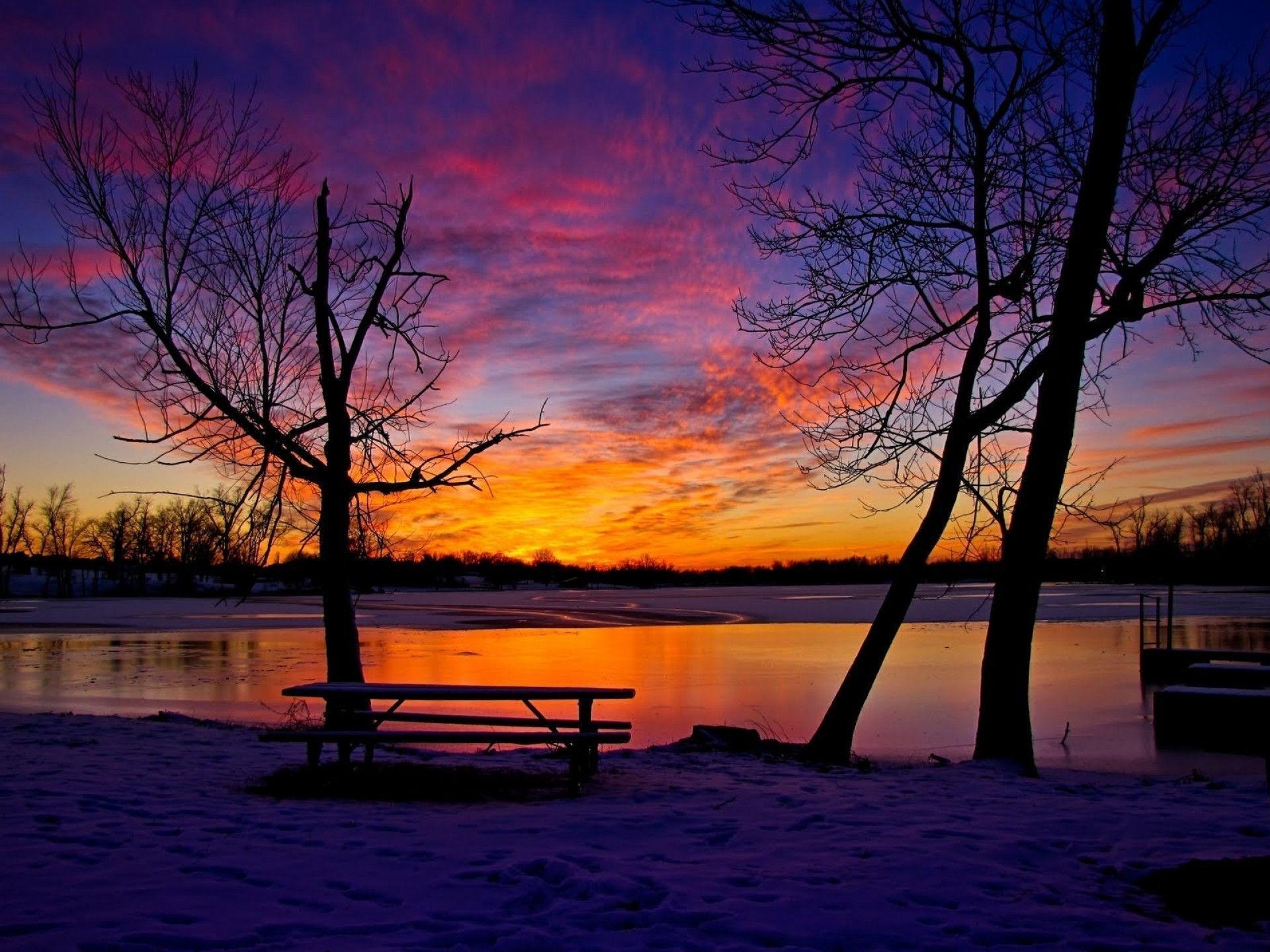 silhouette picnic table, frozen lake sunset reflection, bare winter tree silhouettes, HD Desktop wallpaper
