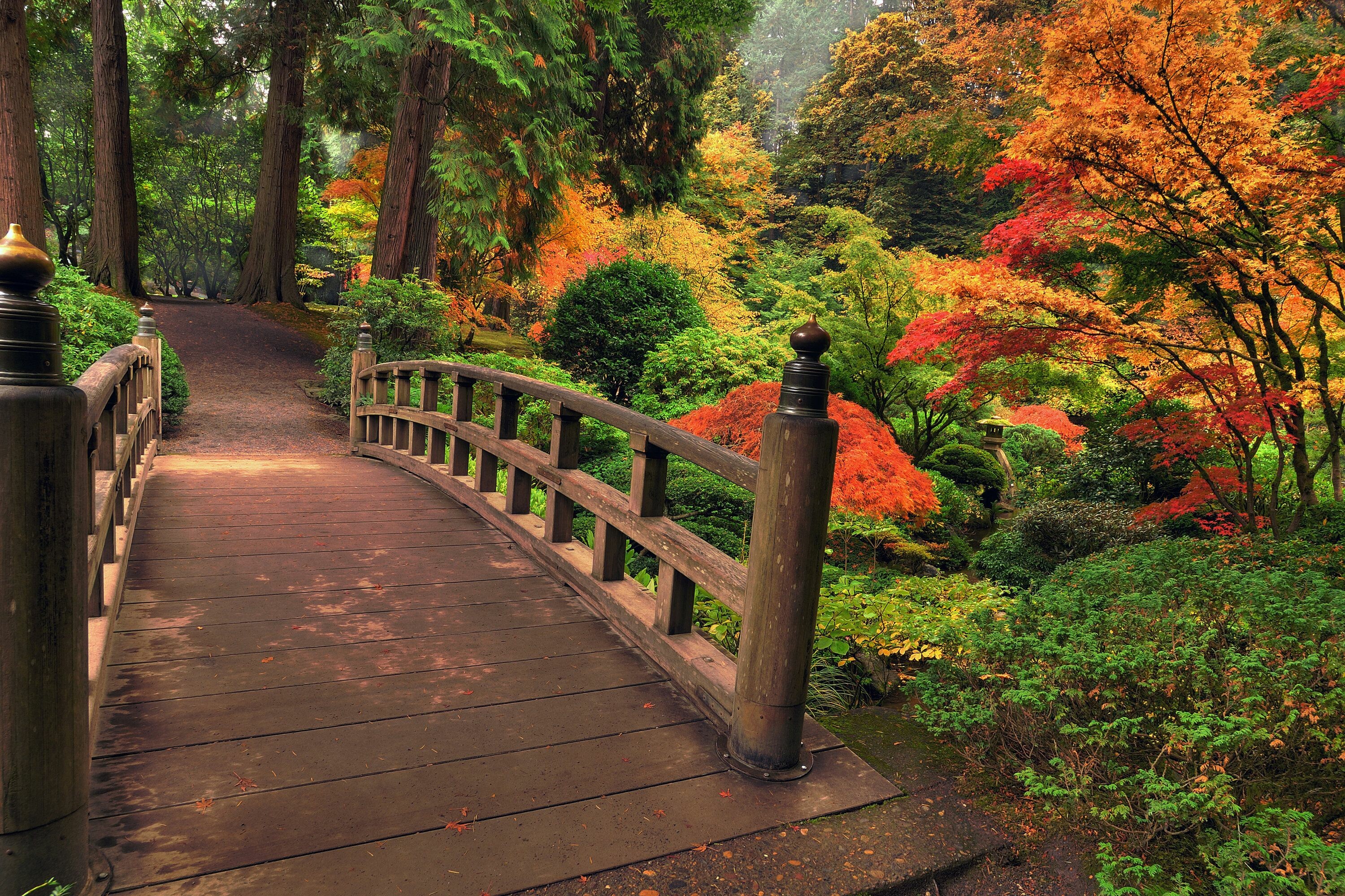 Park scenery, Natural splendor, Mesmerizing beauty, Tranquil escape, 3000x2000 HD Desktop