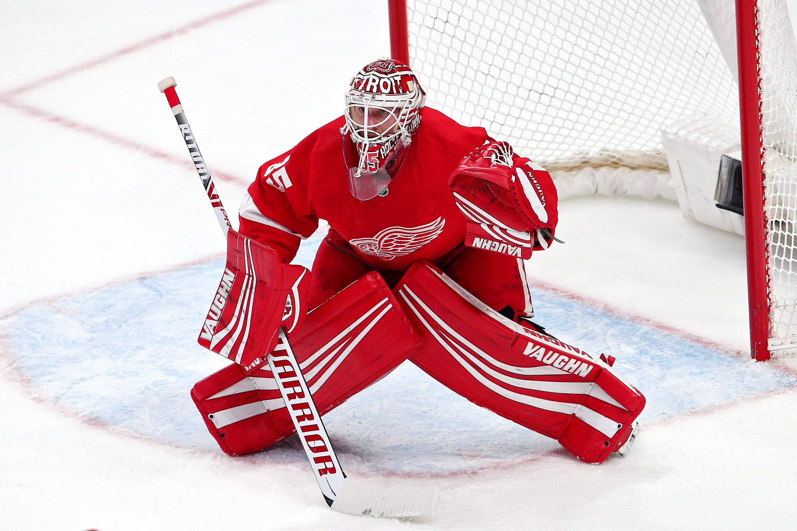 2019 NHL game, Jimmy Howard Wallpaper, 2640x1760 HD Desktop
