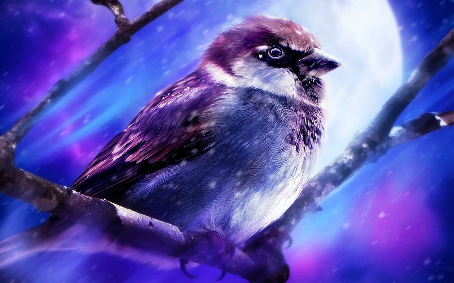 Blue bird wallpapers, Calming tones, Tranquil imagery, Nature's serenade, 1920x1200 HD Desktop