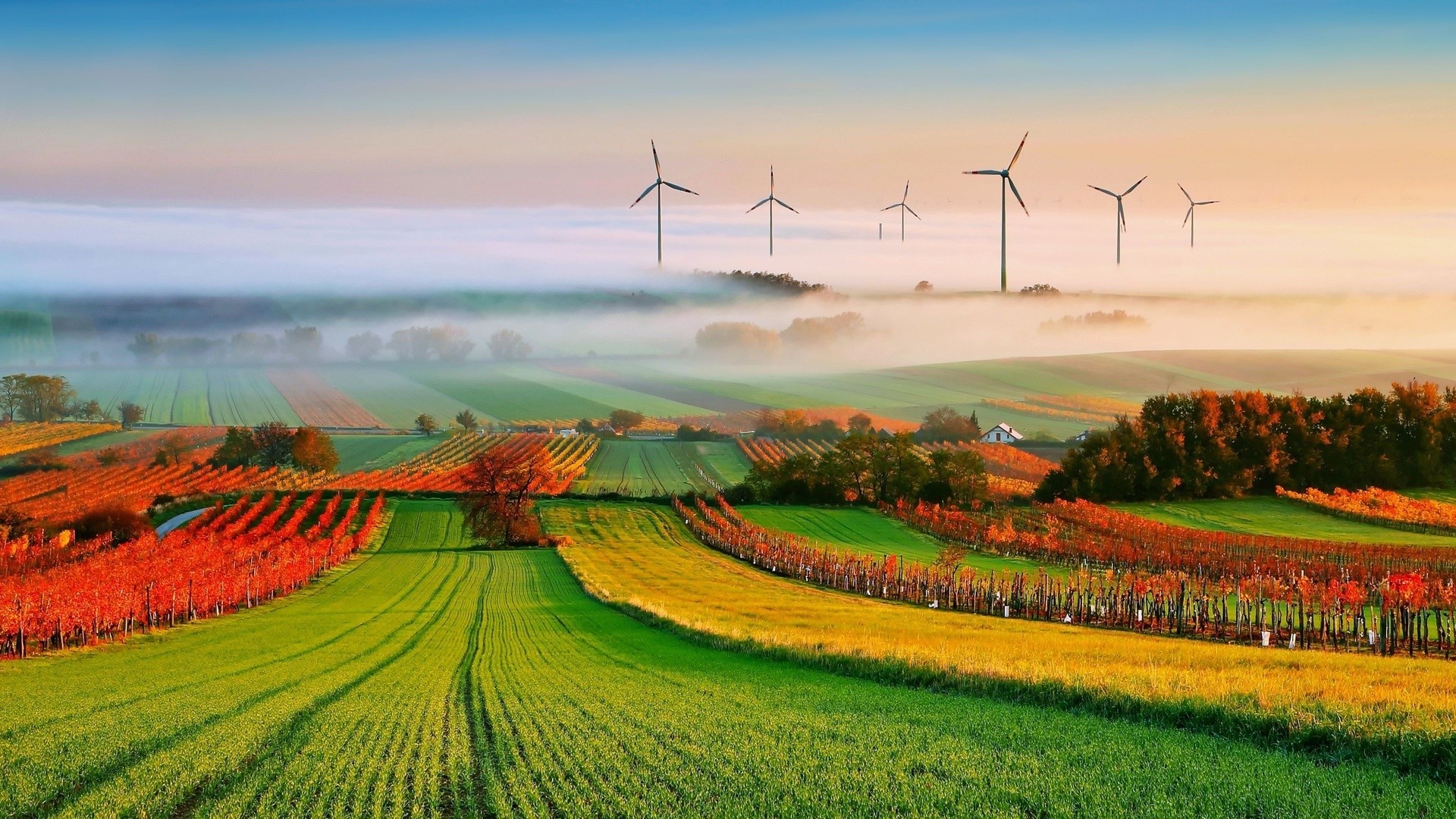 Windmills, Farms Wallpaper, 1920x1080 Full HD Desktop