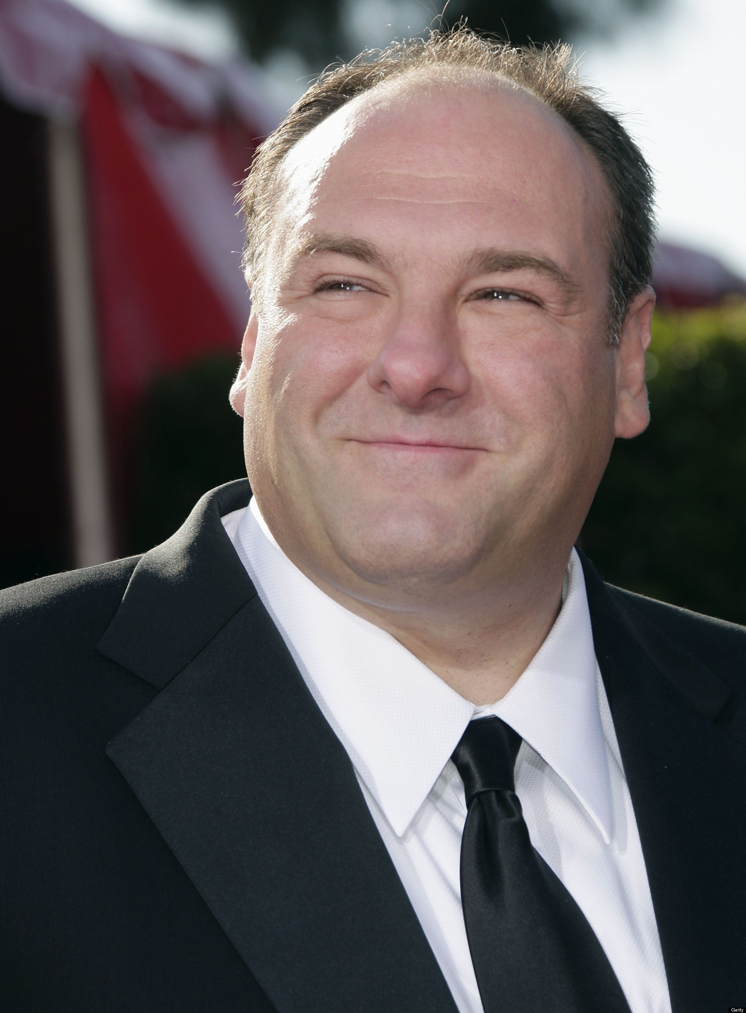 James Gandolfini, Celebrity, 4K Wallpapers, Pictures, 1540x2090 HD Phone