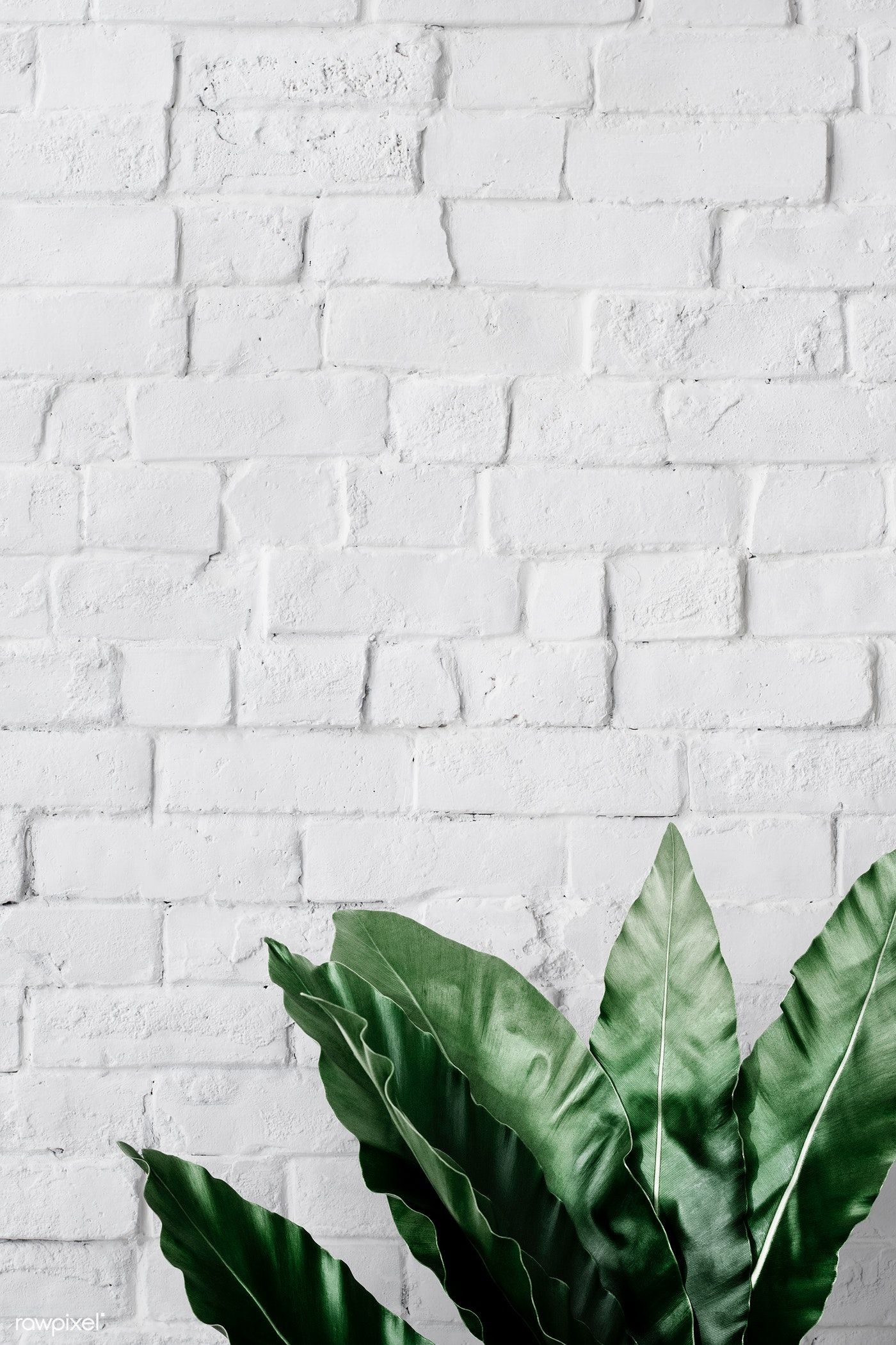 White brick, Minimalist design, Phone wallpapers, Modern aesthetic, 1400x2100 HD Phone