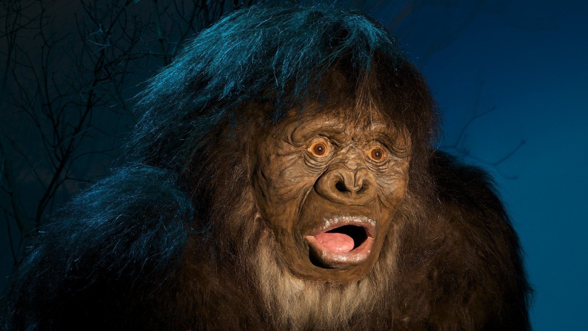Bigfoot wallpapers, Free bigfoot backgrounds, HD, Thriller, 1920x1080 Full HD Desktop