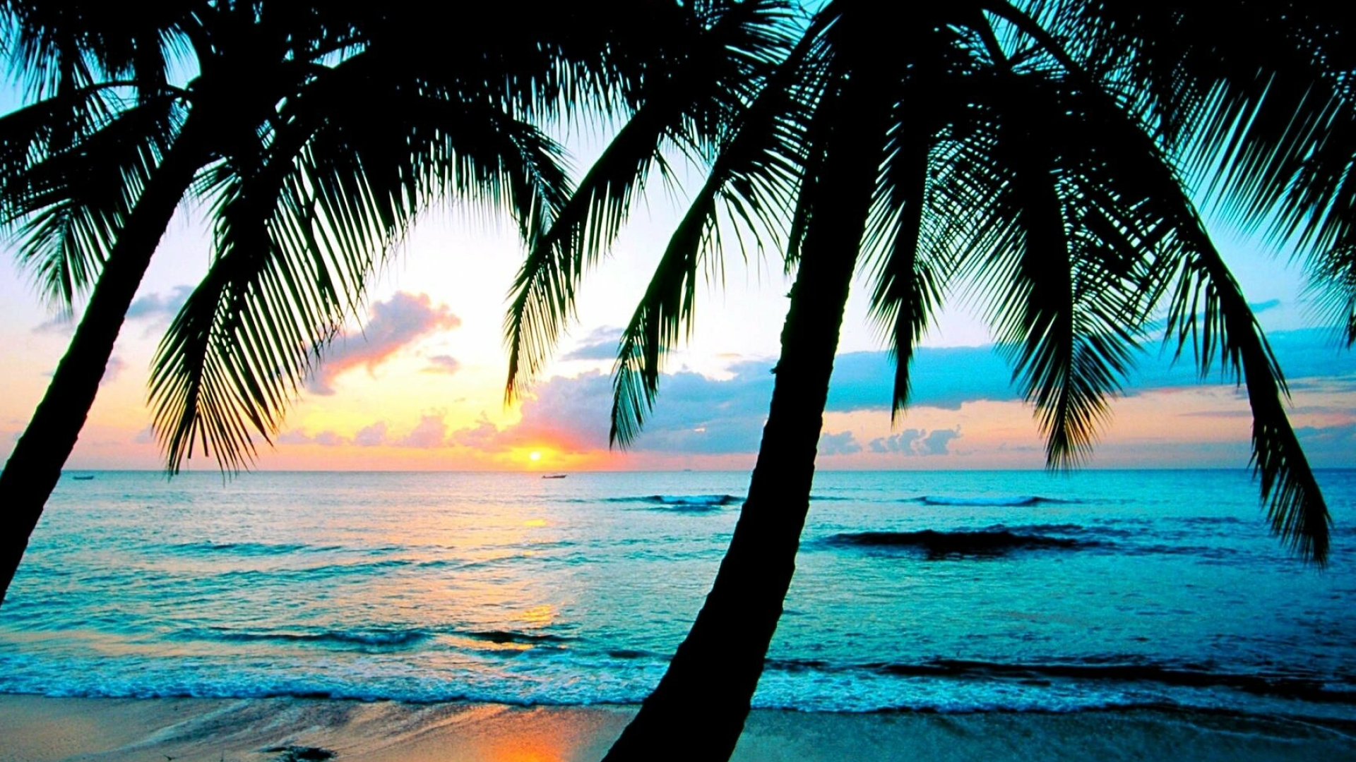Tropical screensavers, Palm tree fantasy, Relaxing visuals, Escaping reality, 1920x1080 Full HD Desktop