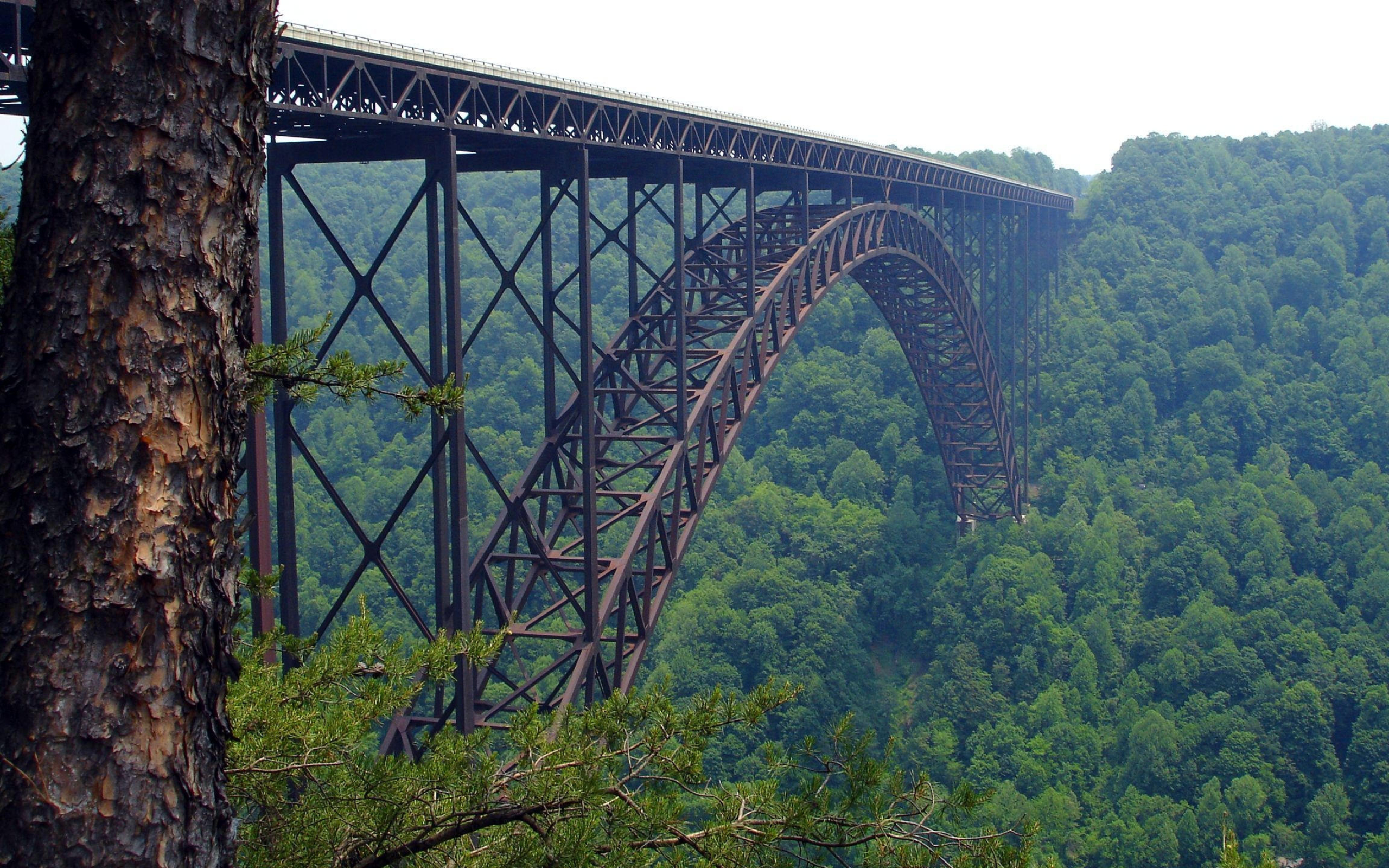 Bridge, Wallpapers, PSD, Vector, 2560x1600 HD Desktop