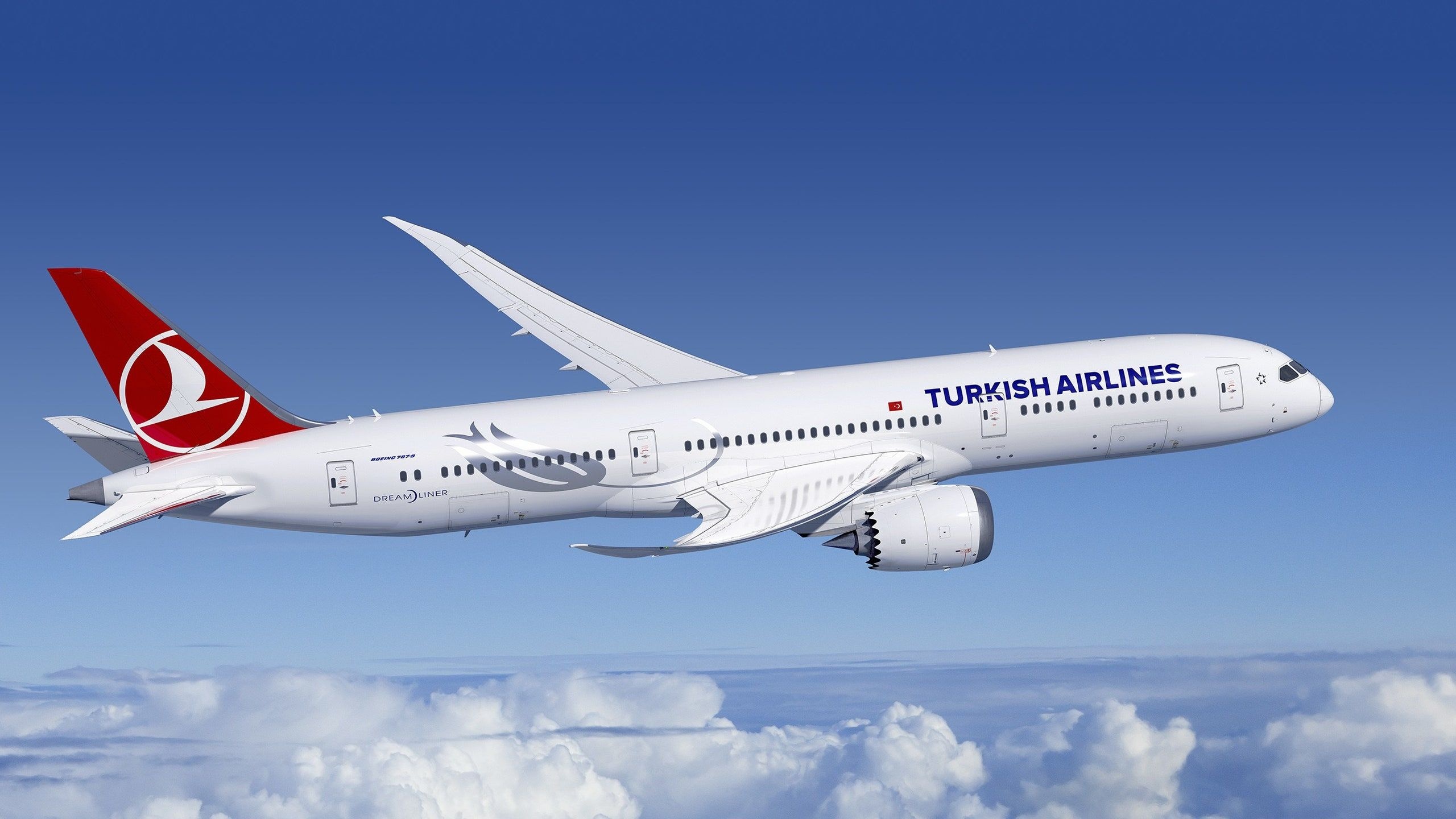 Boeing 787 Dreamliner, Turkish Airlines Wallpaper, 2560x1440 HD Desktop