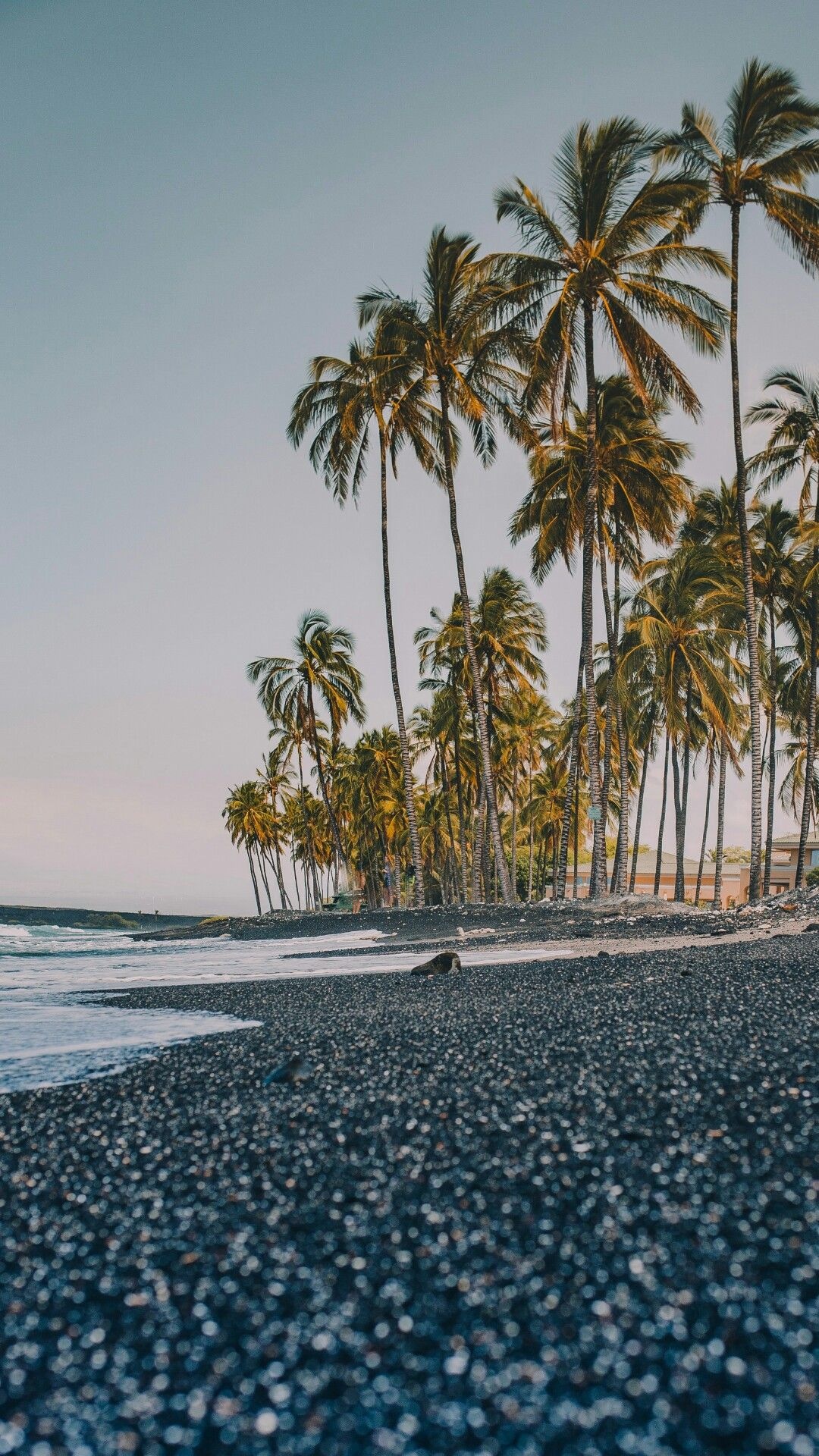 Punaluu Black Sand Beach, Tall coconut palm trees, Volcanic pebble ocean surf, Full HD Phone wallpaper
