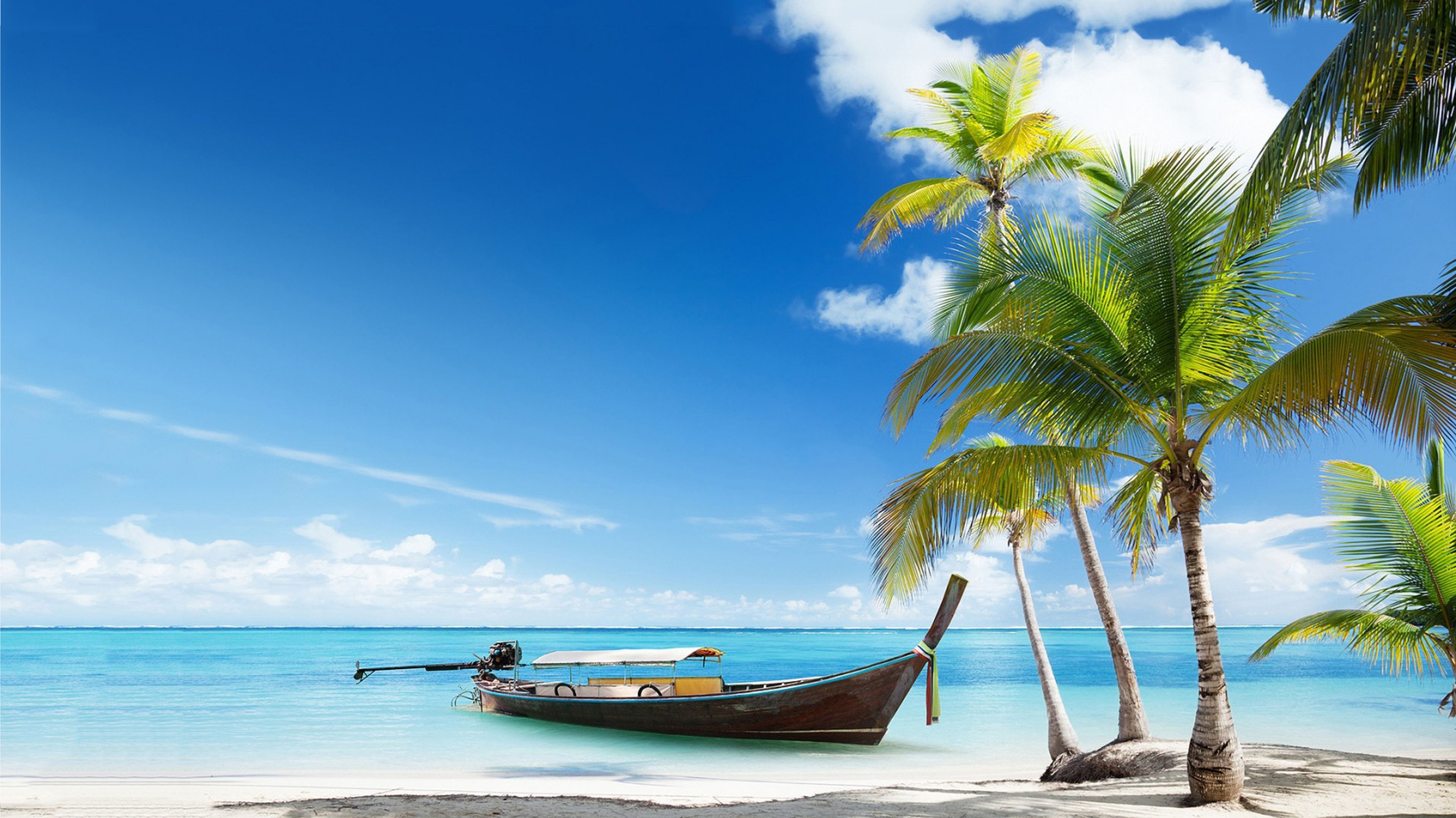 wooden longtail boat, coconut palm trees, turquoise tropical ocean, 4K Desktop wallpaper