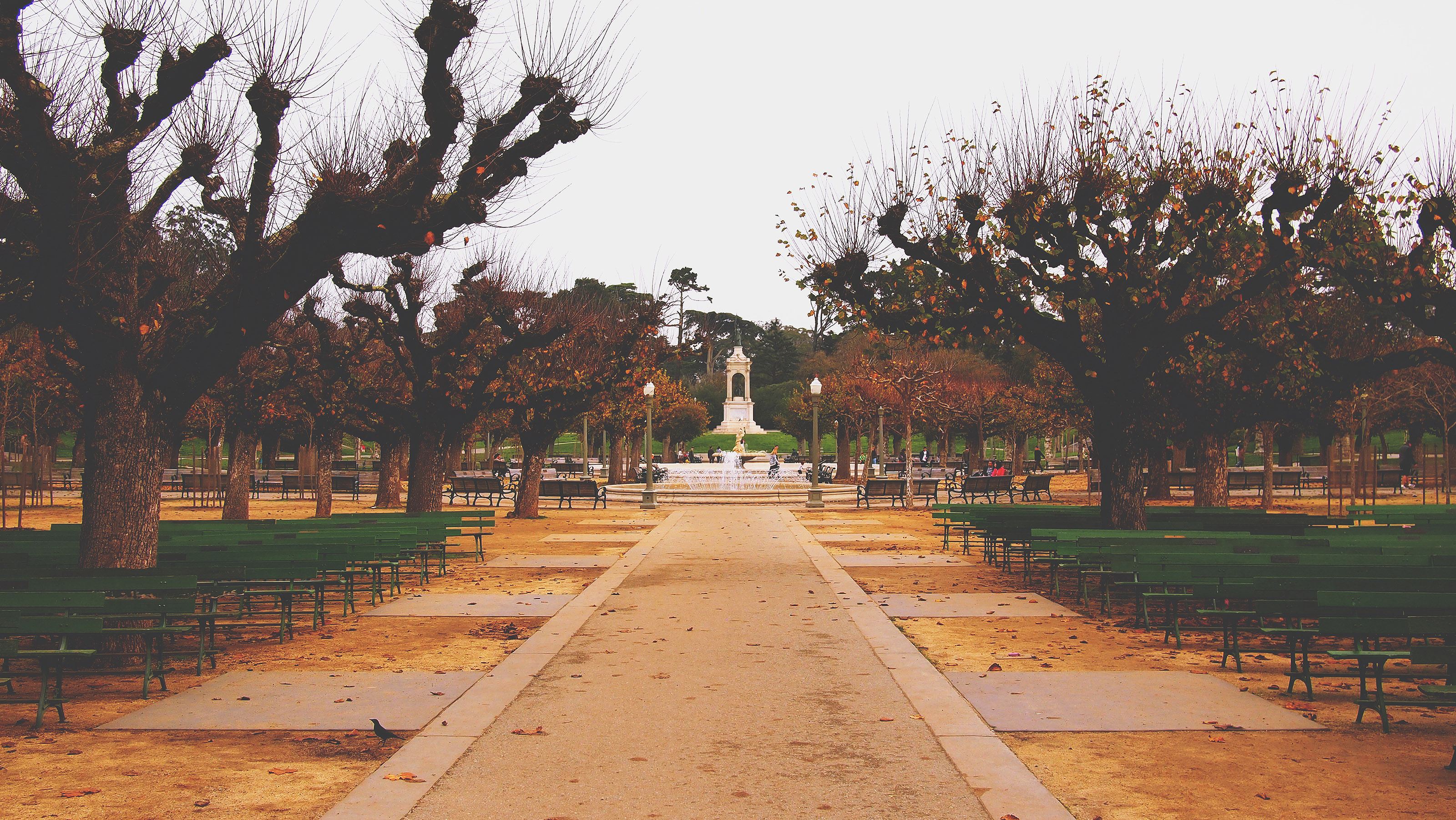 Golden Gate Park, San Francisco, California, Free stock photo, 3200x1810 HD Desktop