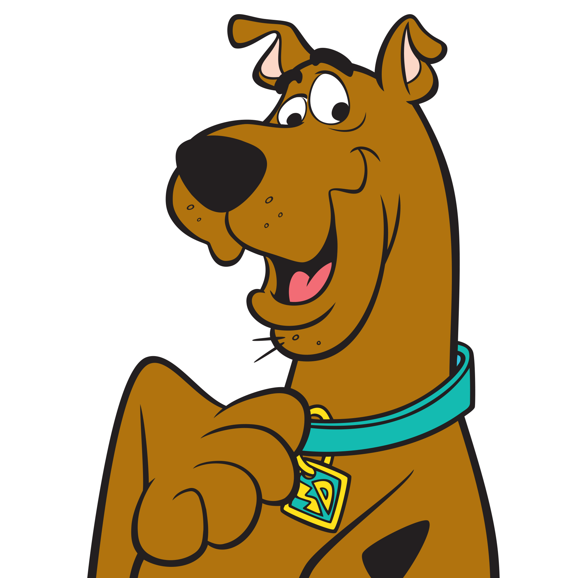 Scooby-Doo, SD dog tag, turquoise dog collar, HD Phone wallpaper