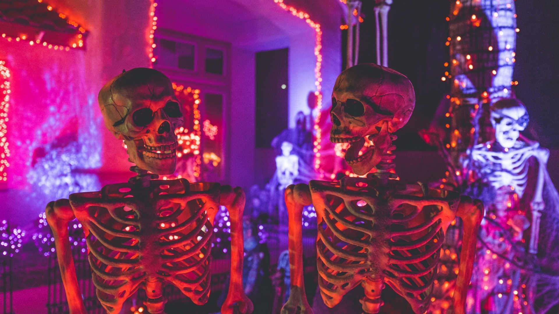 Celebration, Halloween Skeletons Wallpaper, 1920x1080 Full HD Desktop