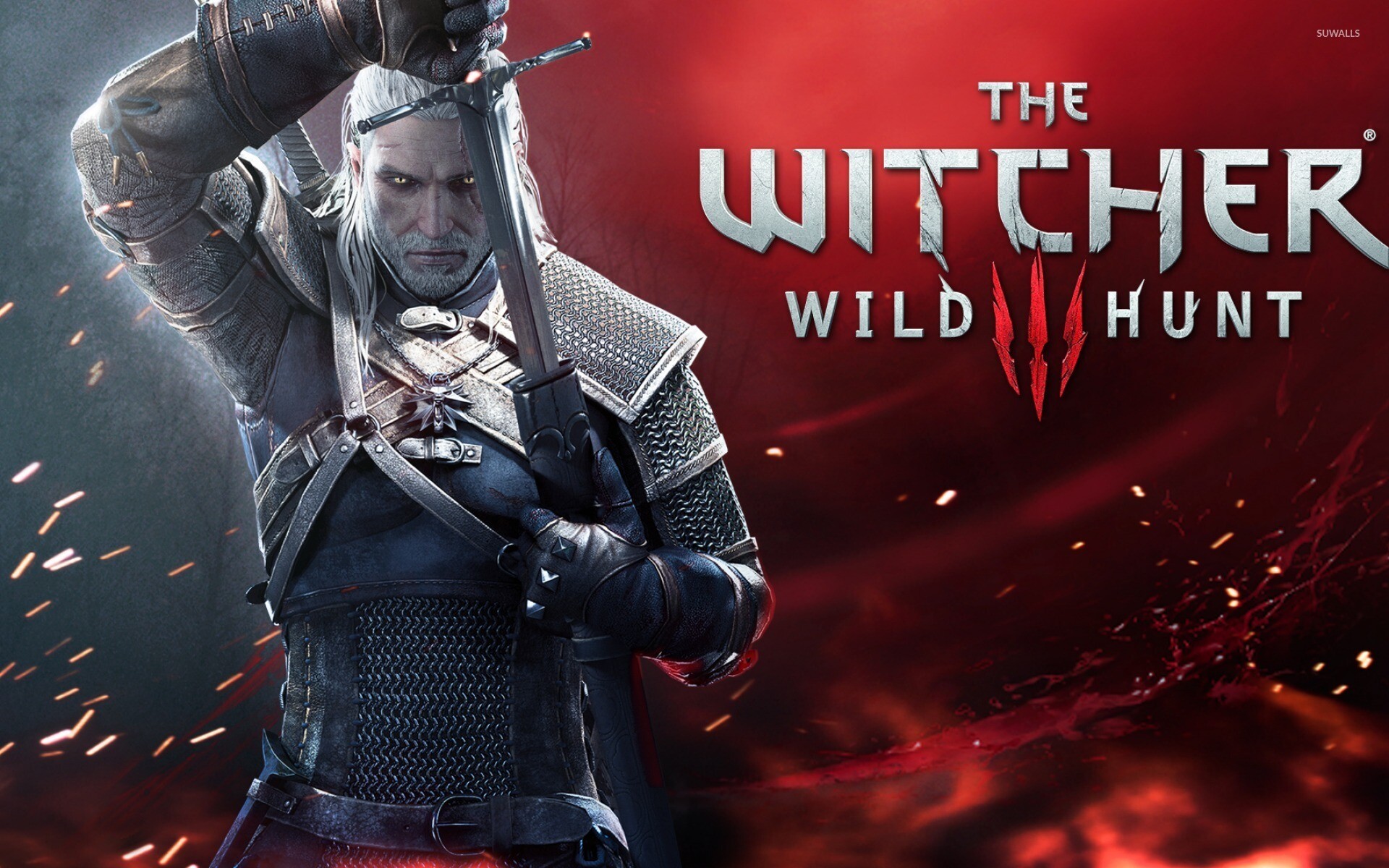 The Witcher 3 wild hunt, 8 wallpaper game, Wallpapers, 1920x1200 HD Desktop