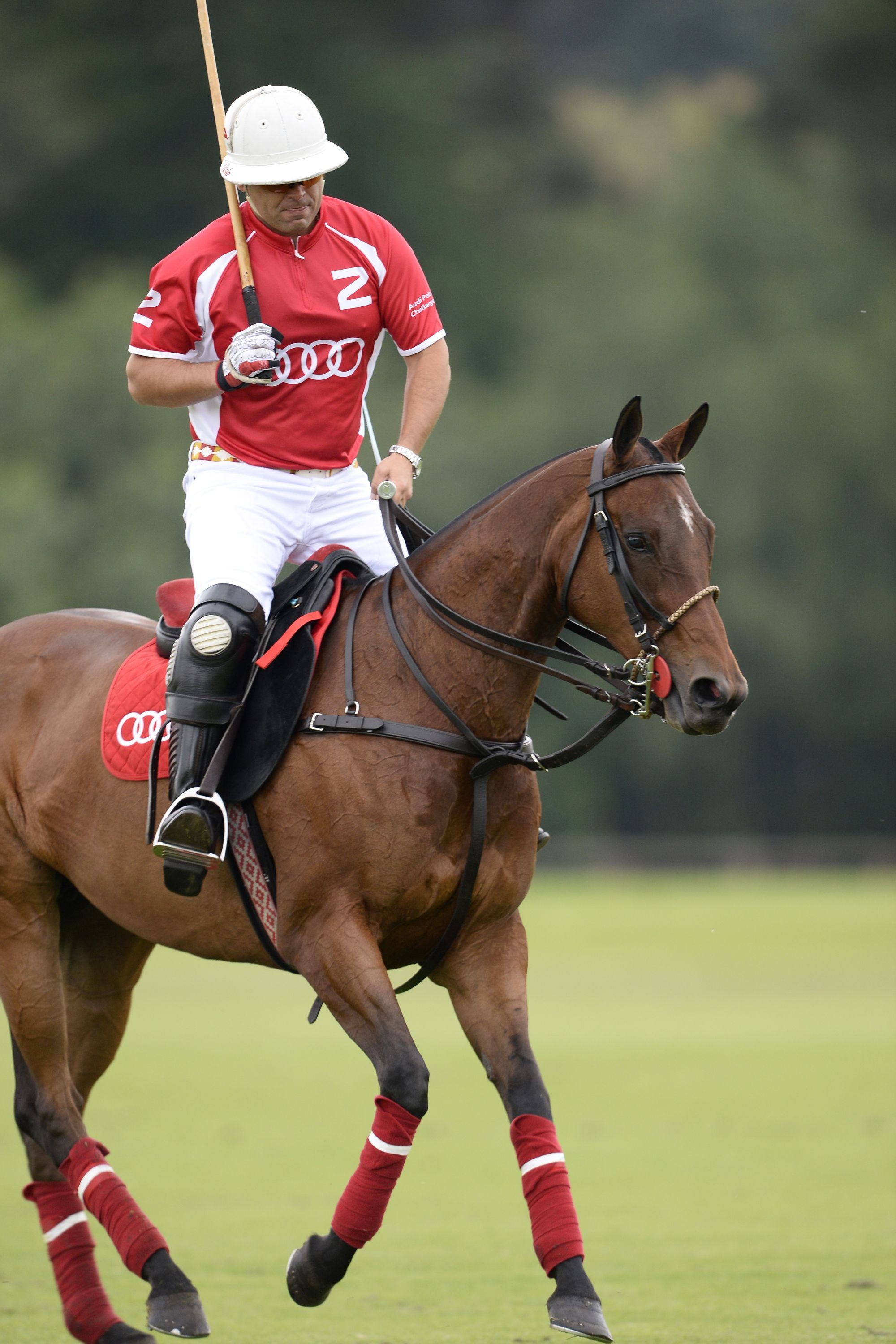 Nacho Gonzalez, Horse Polo Wallpaper, 2000x3000 HD Phone