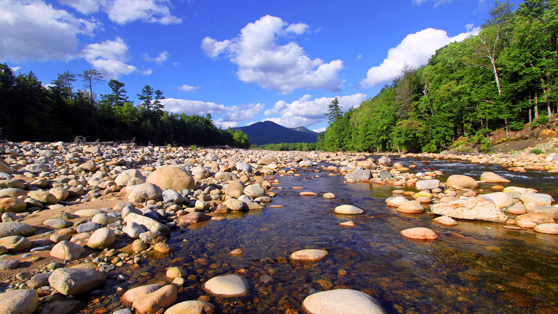 Pemifewasset River, Lincoln, Summer landscape, New Hampshire, 1920x1080 Full HD Desktop