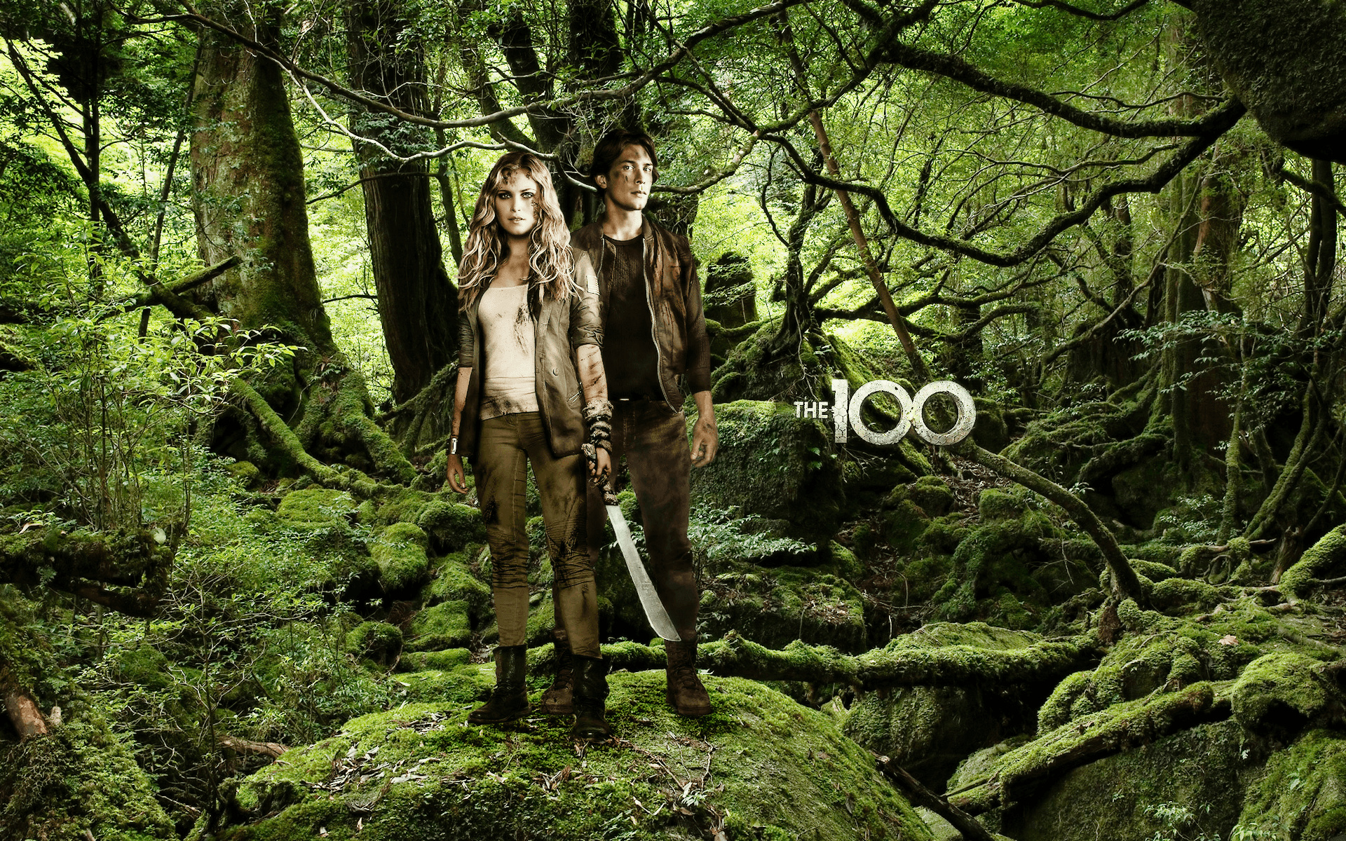 The 100 wallpapers, Immersive visuals, Fan-created artwork, Diverse character representations, 1920x1200 HD Desktop