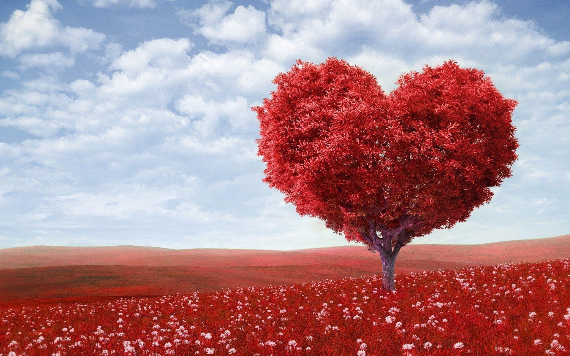 Heartshaped tree, Nice Wallpaper, 1920x1200 HD Desktop